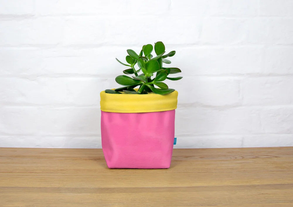fabric_planter_and_money_tree_04.jpg