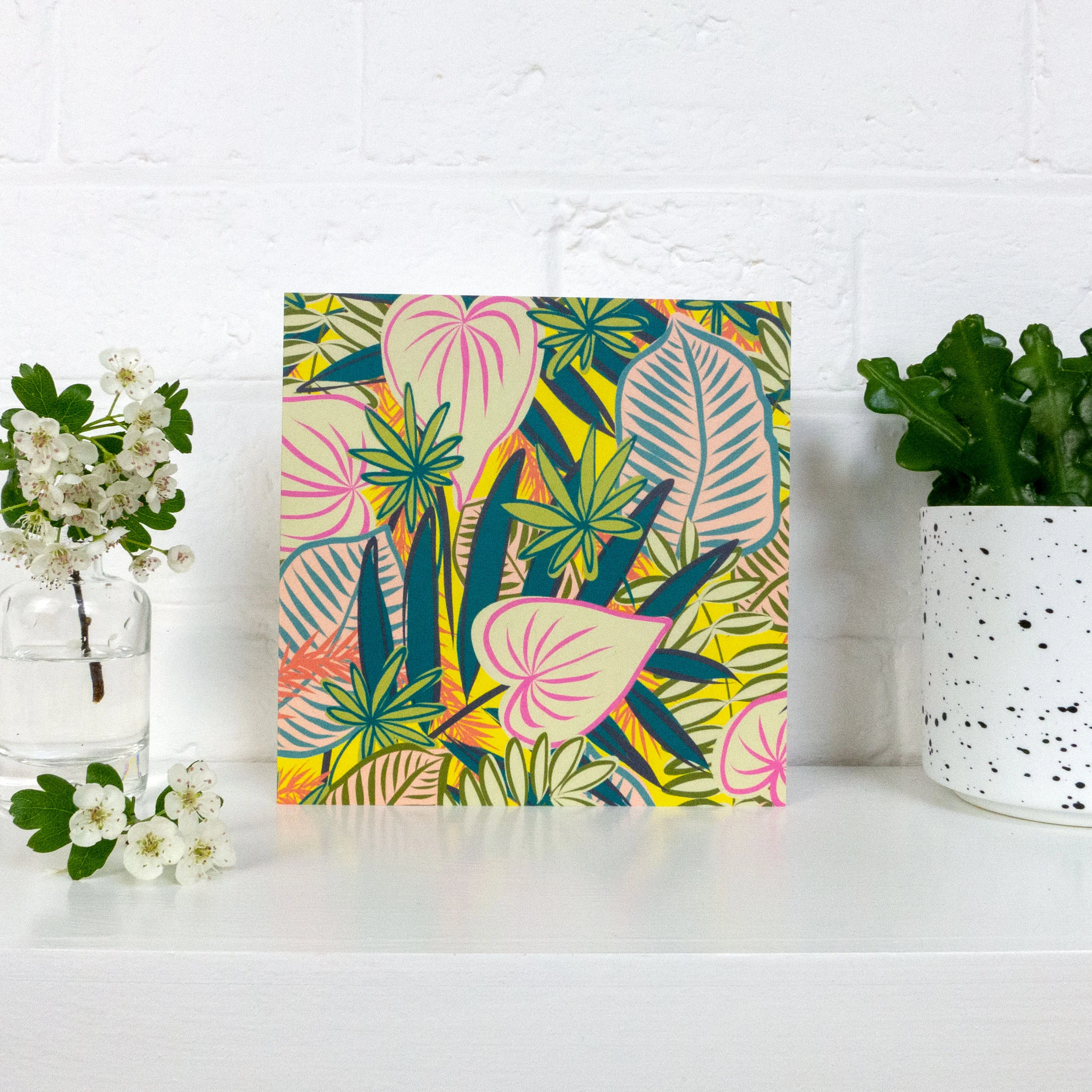 albaquirky_house_plants_01.jpg