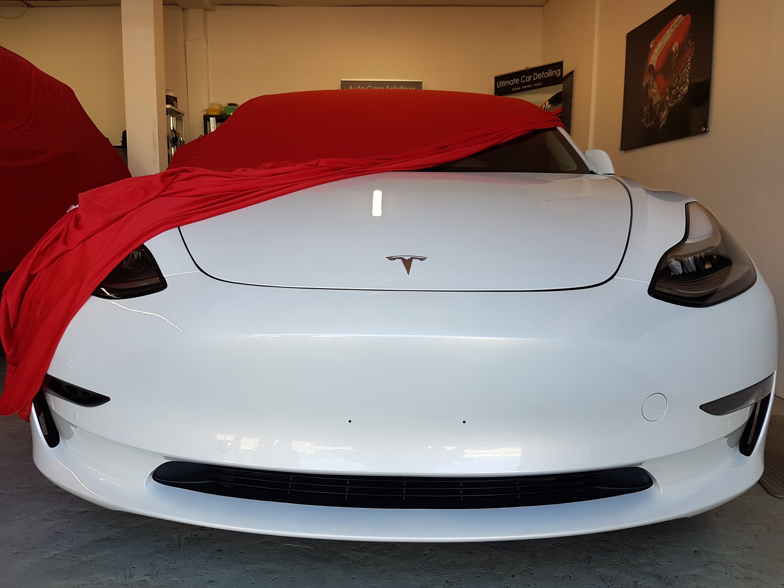 2019 Tesla Model 3 performance