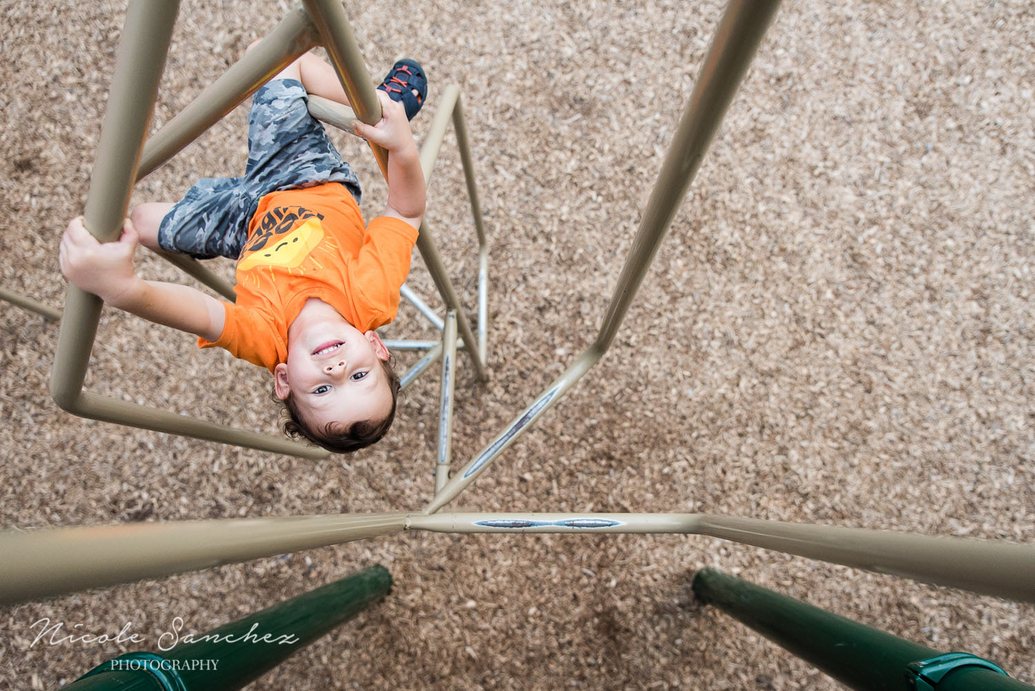 Documenting Summer | Northern Virginia Family Photographer