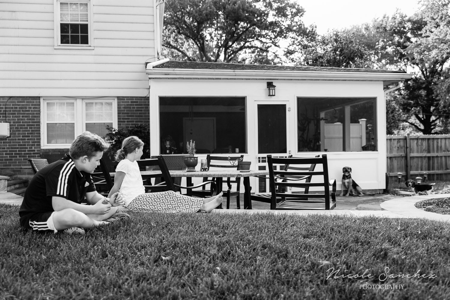 Family_Documentary_Backyard_Dogs_2.jpg