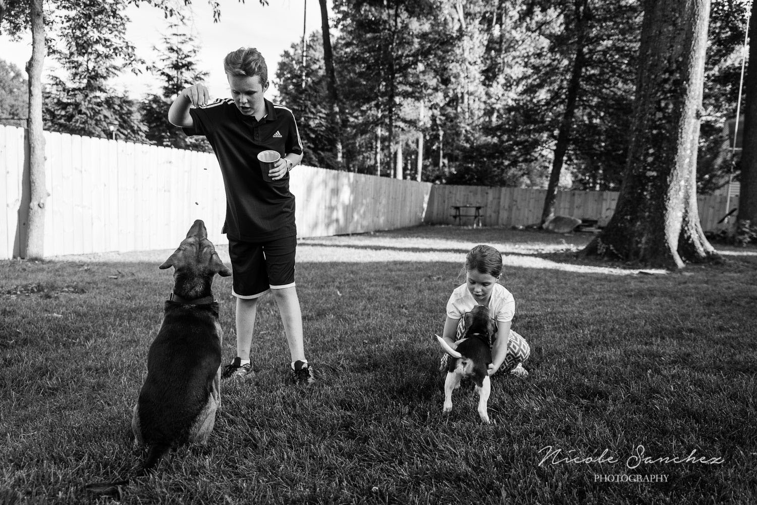 Family_Documentary_Backyard_Dogs_6.jpg