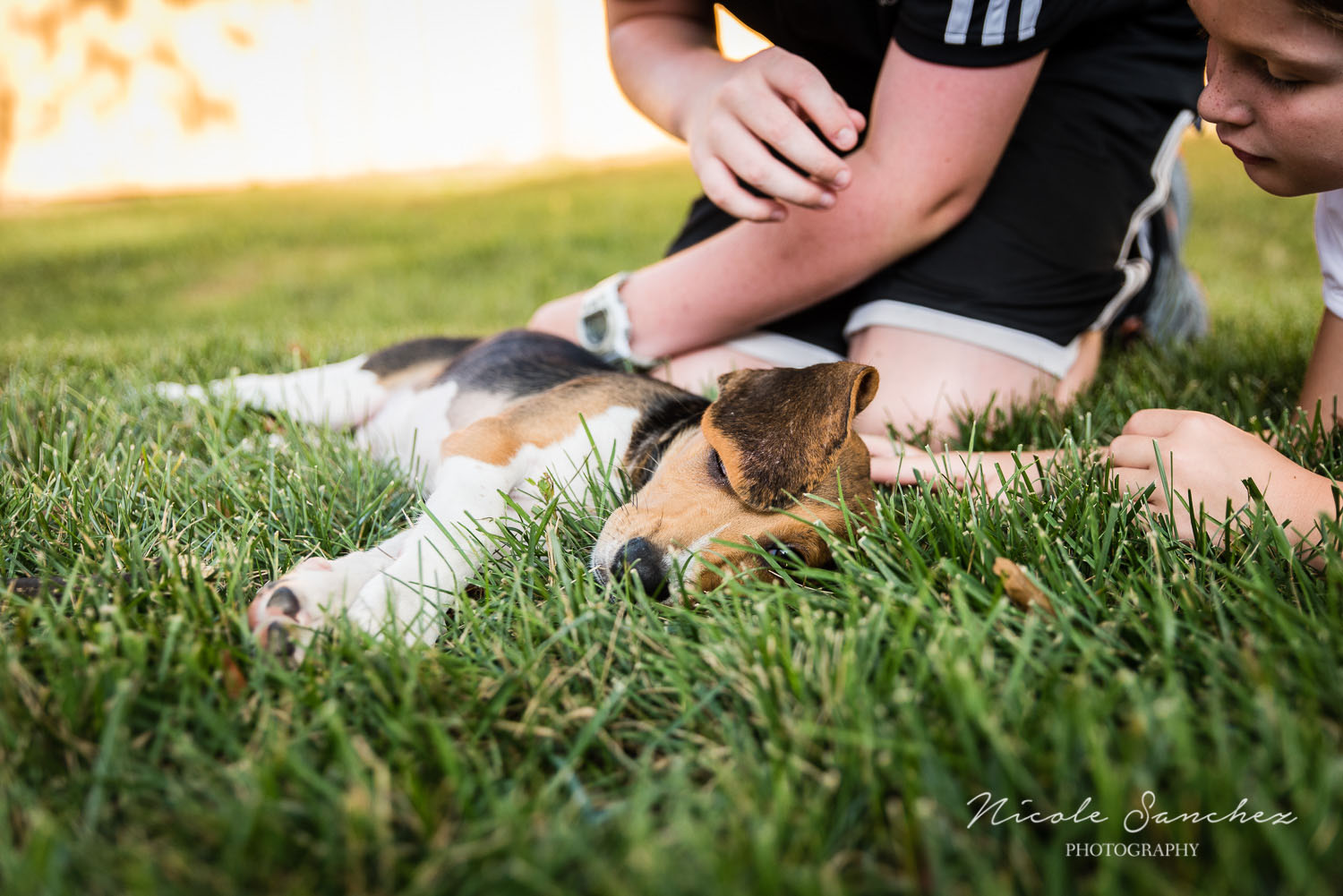 Family_Documentary_Backyard_Dogs_4.jpg