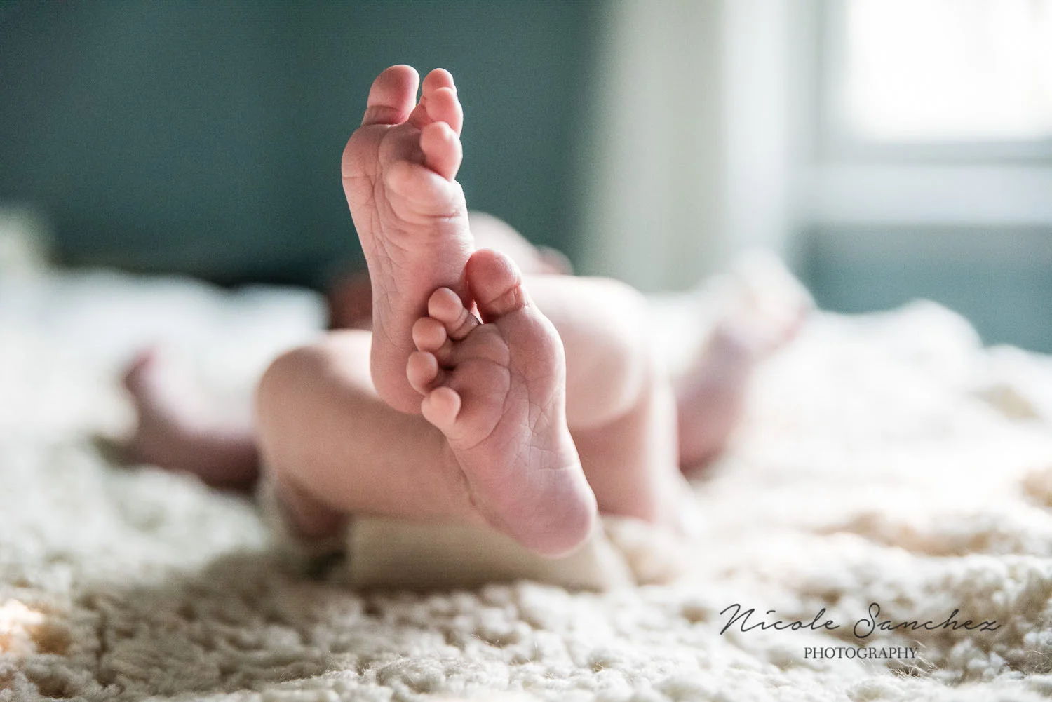 Documenting Newborn Details | Northern Virginia Family Photographer