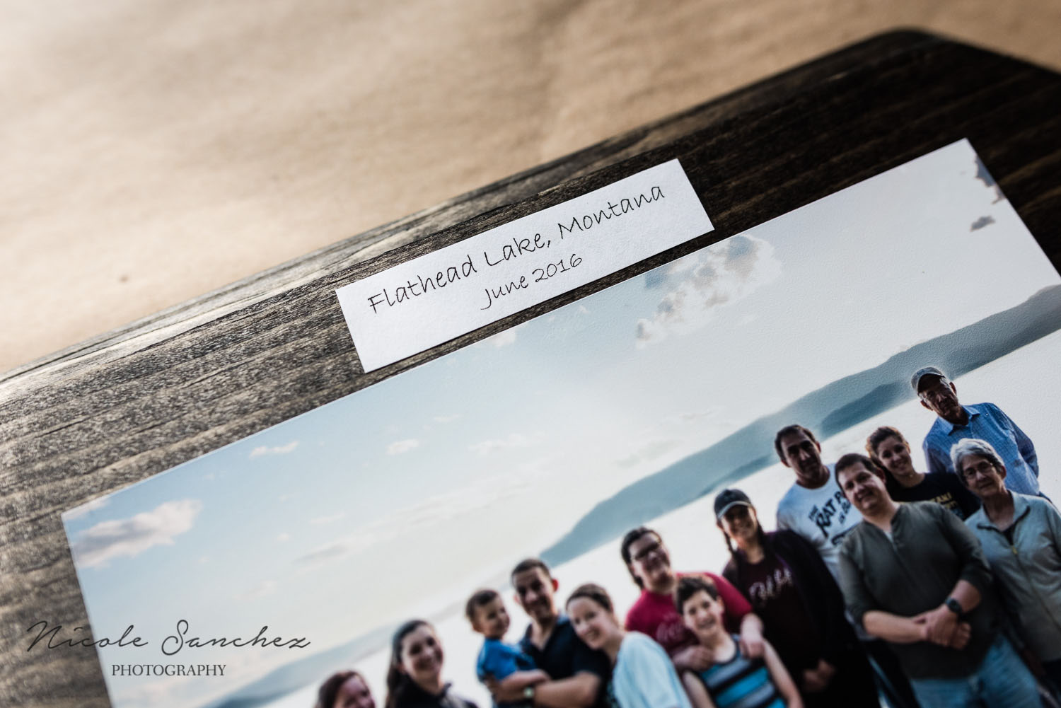 acation info disply | Alexandria Virginia family photographer