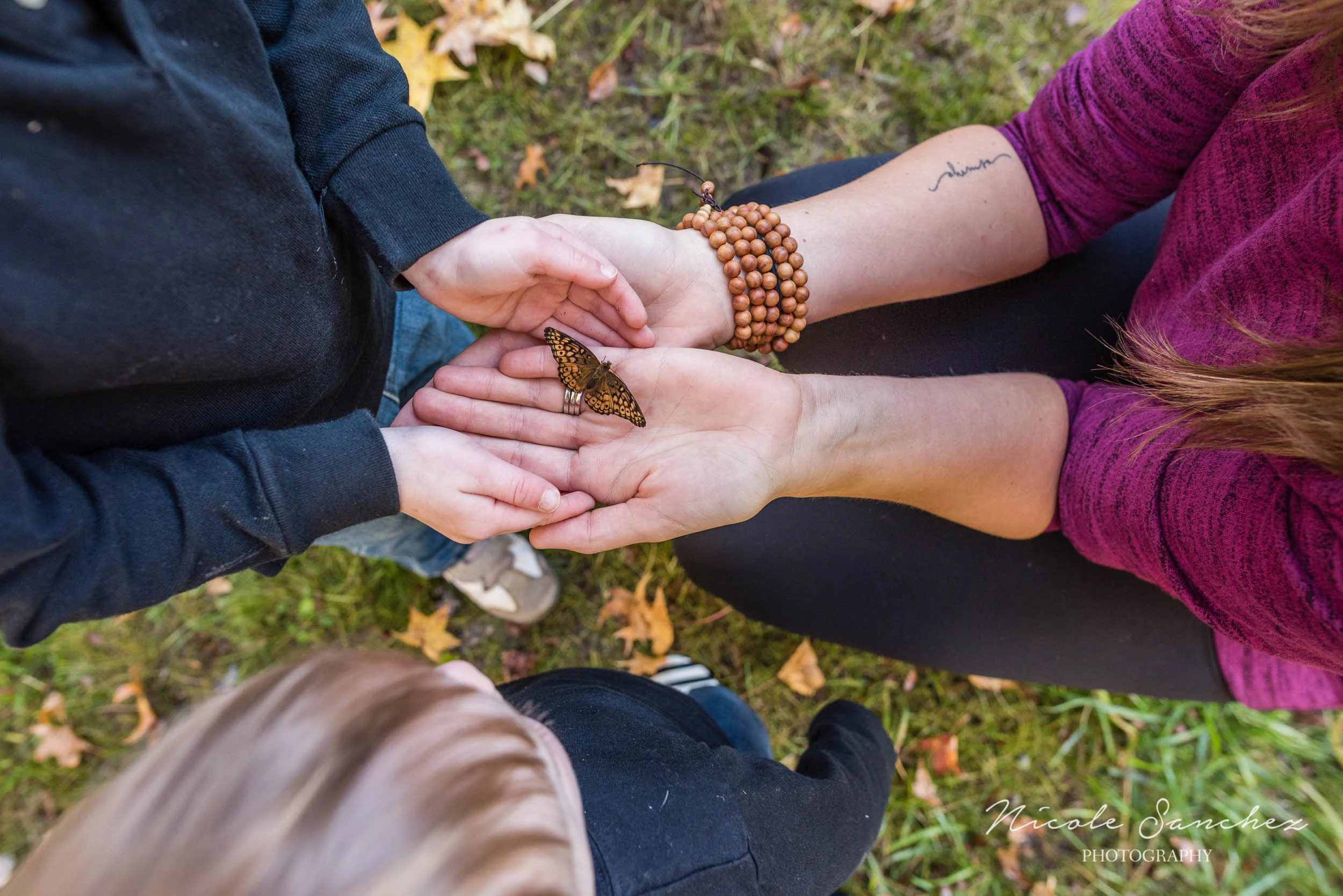 Mom and son holding butterfly at outdoor family session in Northern Virginia by Documentary Photographer Nicole Sanchez