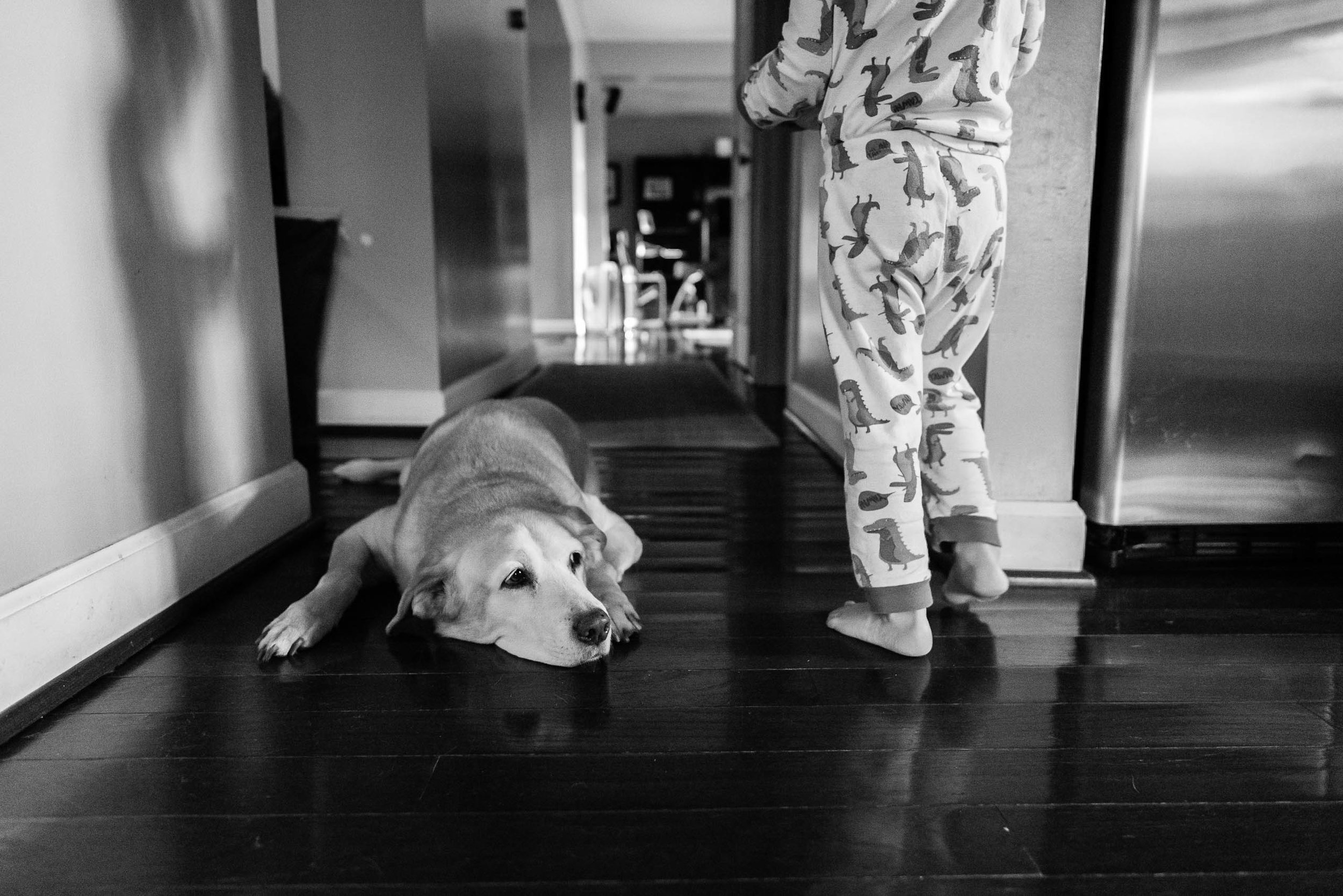 Dog on floor with boy in pajamas by Northern Virginia Family Photographer Nicole Sanchez