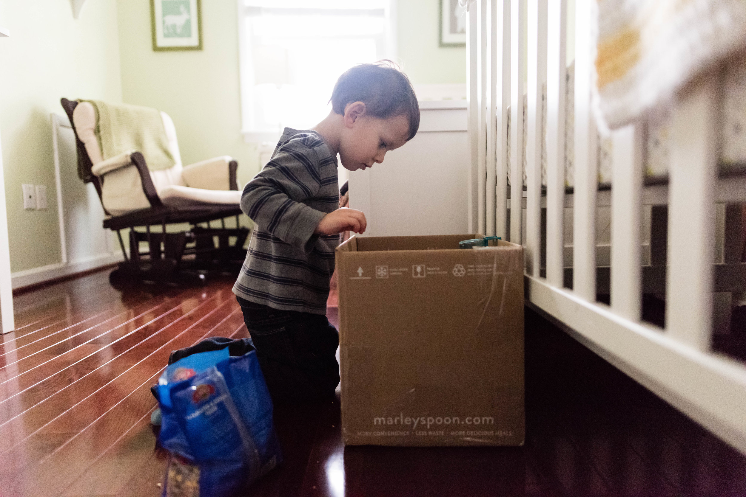 Boy looking into hamster box by Alexandria, Virginia Family Photographer Nicole Sanchez