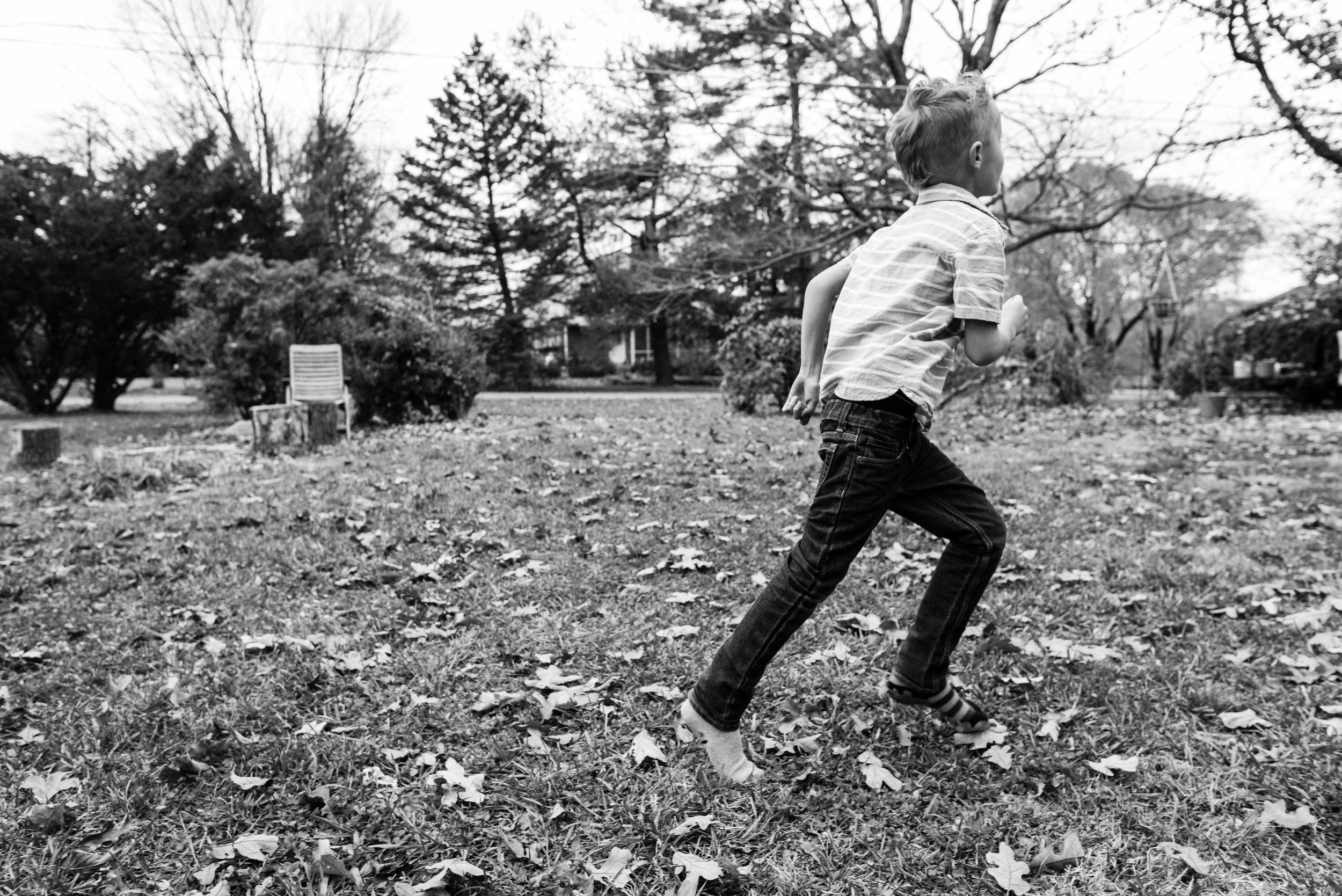 Boy chasing leaves outside by Northern Virginia Lifestyle Photographer Nicole Sanchez