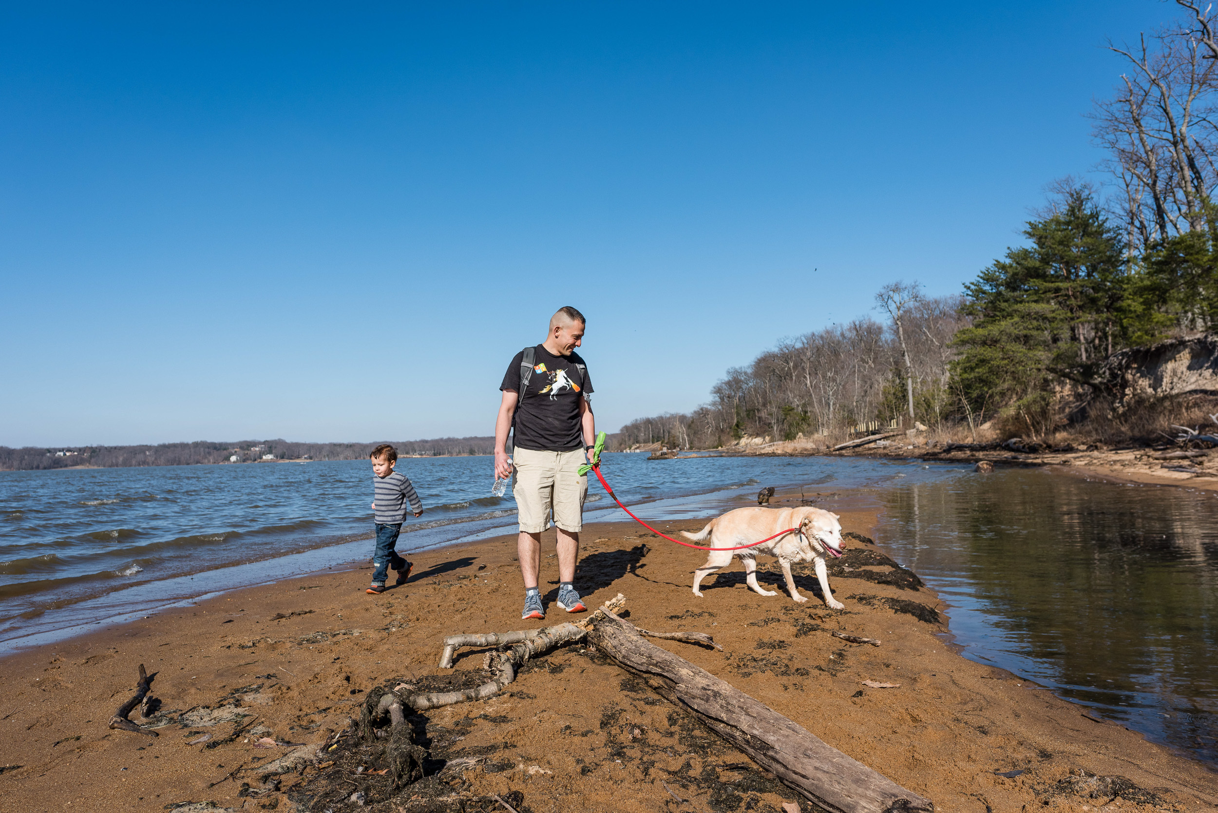 father-walking-with-son-and-dog-at-Mason_neck-State-Park-in-Lorton-Virginia-by-Family-Photographer-Nicole-Sanchez.jpg