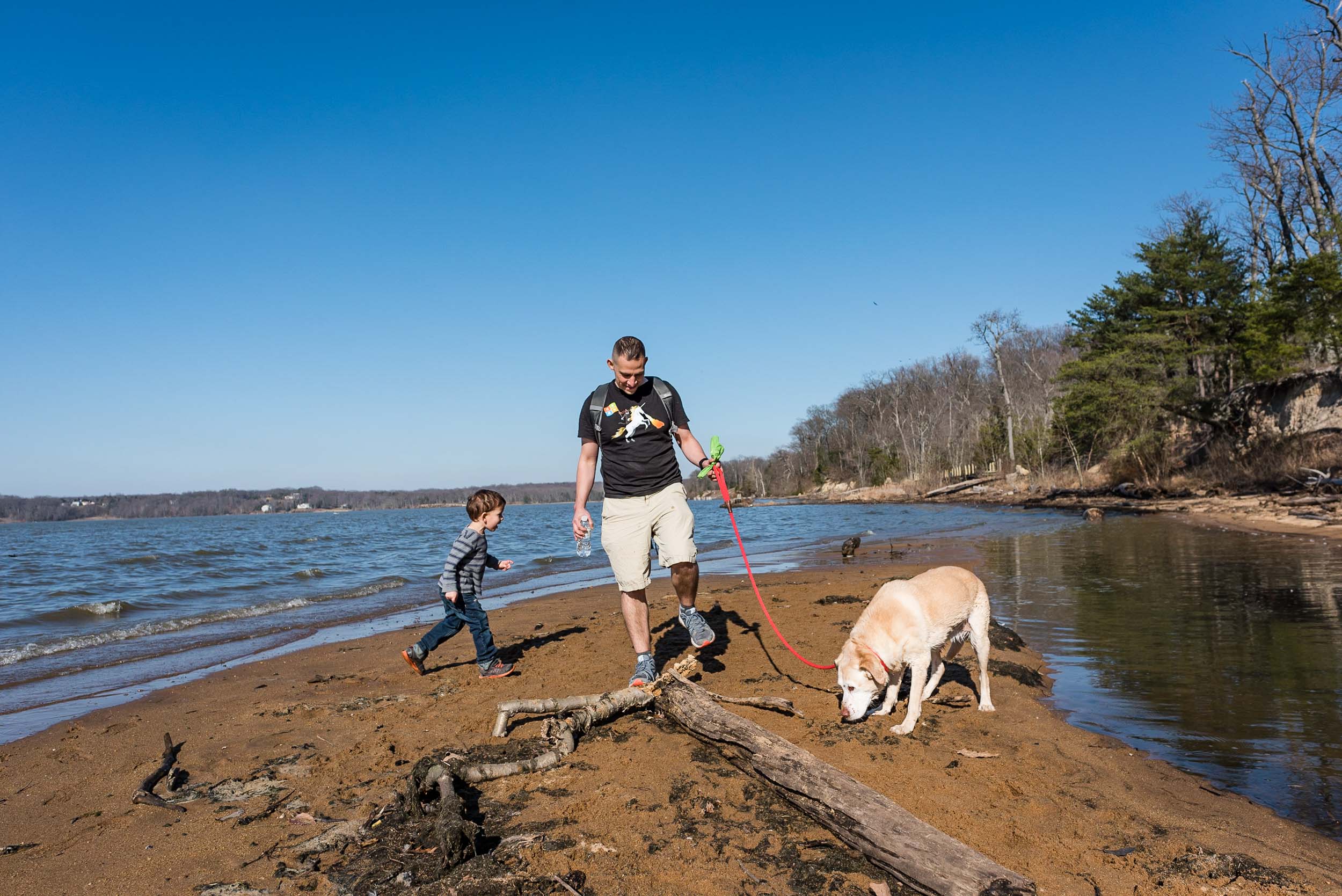 father and son walking along potomac river at Mason neck state park by northern virginia family photographer nicole sanchez