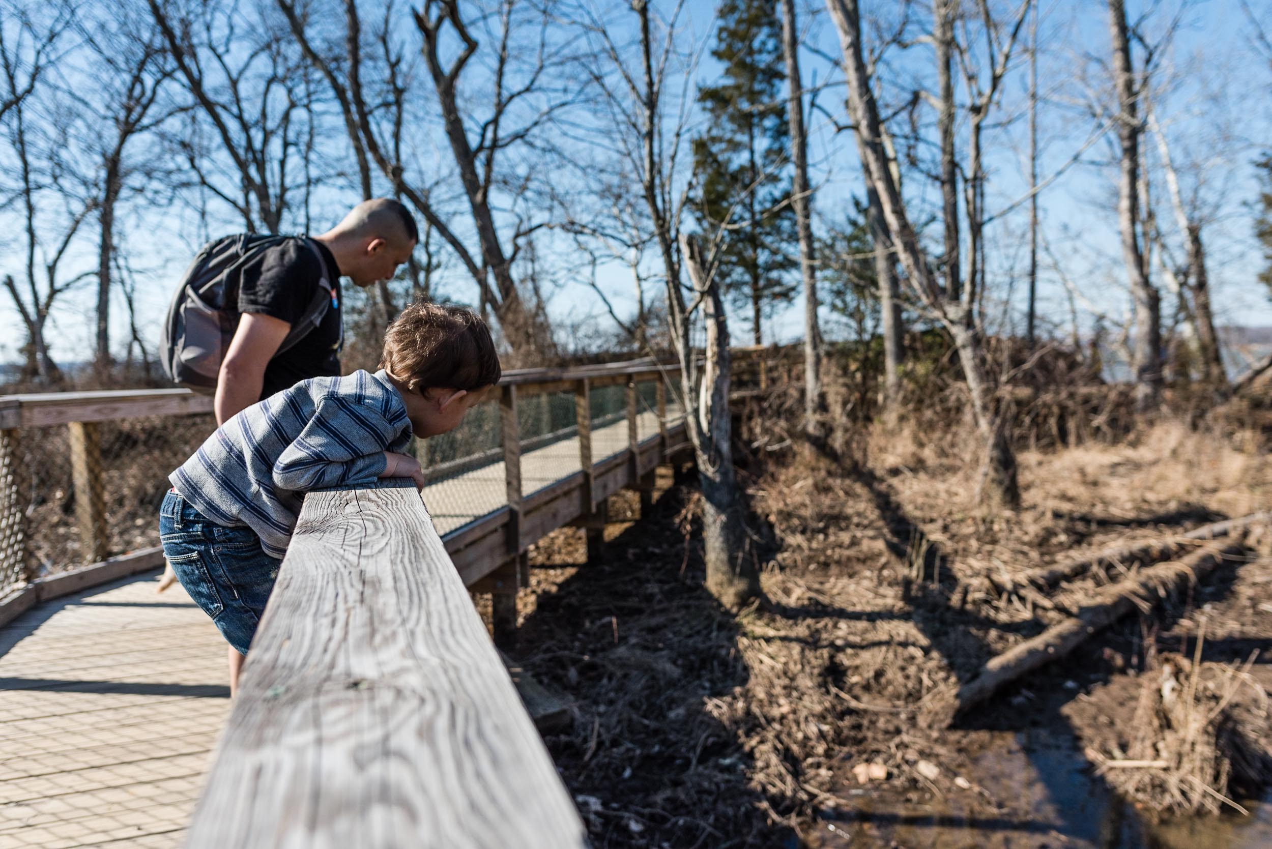 father and son walking through marsh at Mason neck state park by northern virginia family photographer nicole sanchez