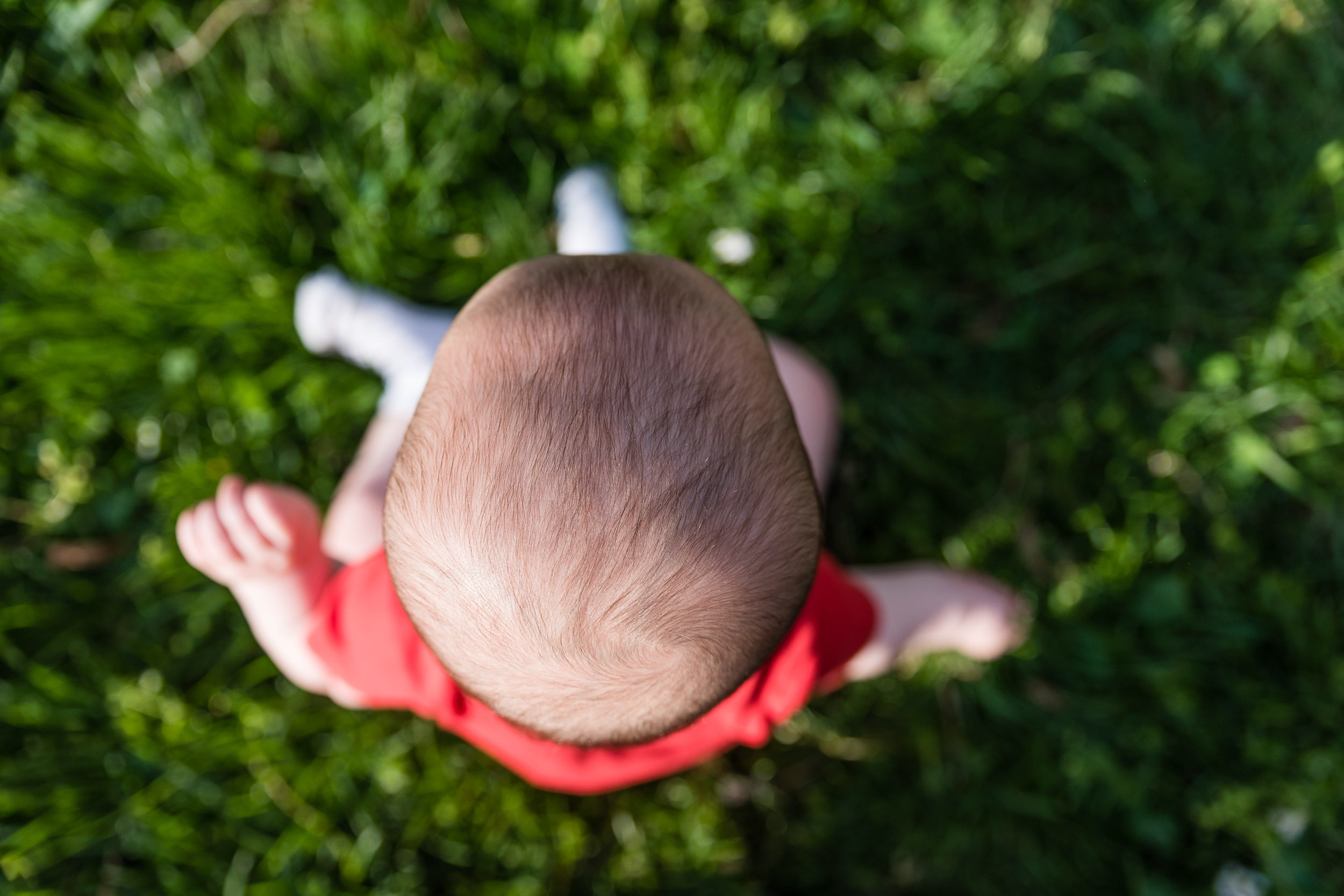 April-365-project-faves-northern-virginia-family-photographer-nicole-sanchez-5.jpg