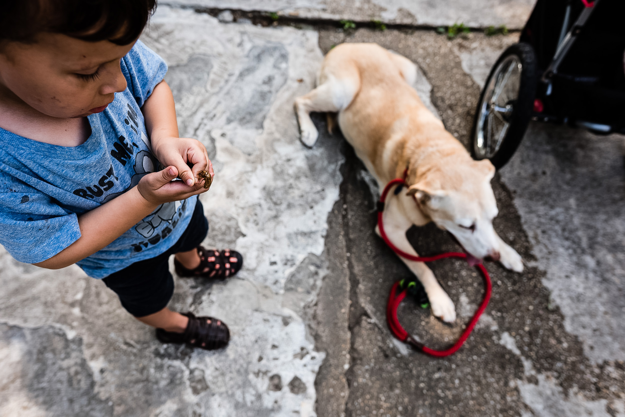 August-Summer-Documentary-Favorites-by-Northern-Virginia-Family-Photographer-Nicole-Sanchez-4.jpg