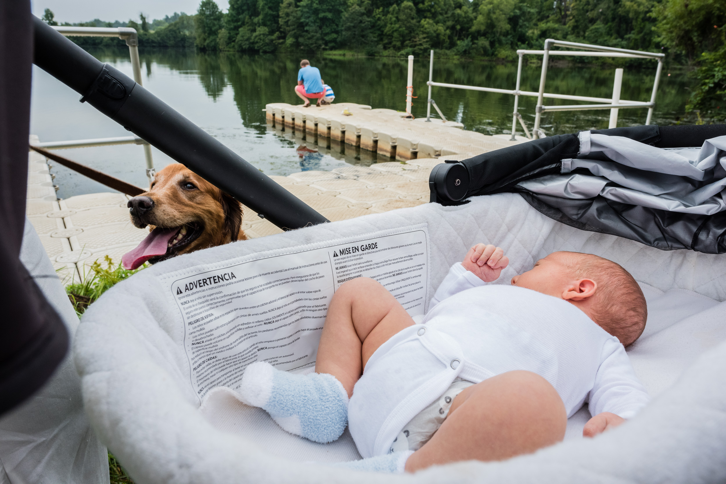 Dog with newborn outside by NOrthern Virginia Family Photographer Nicole Sanchez