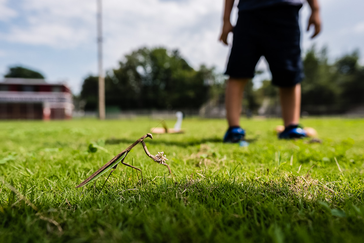 boy next to giant praying mantis in northern virginia by nicole sanchez photography