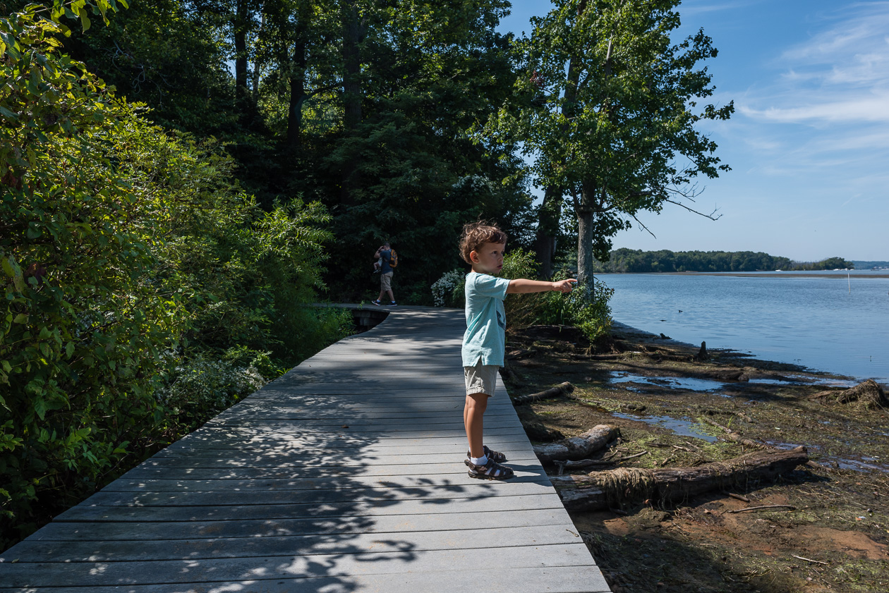 boy pointing at potomac river by northern virginia family photographer nicole sanchez