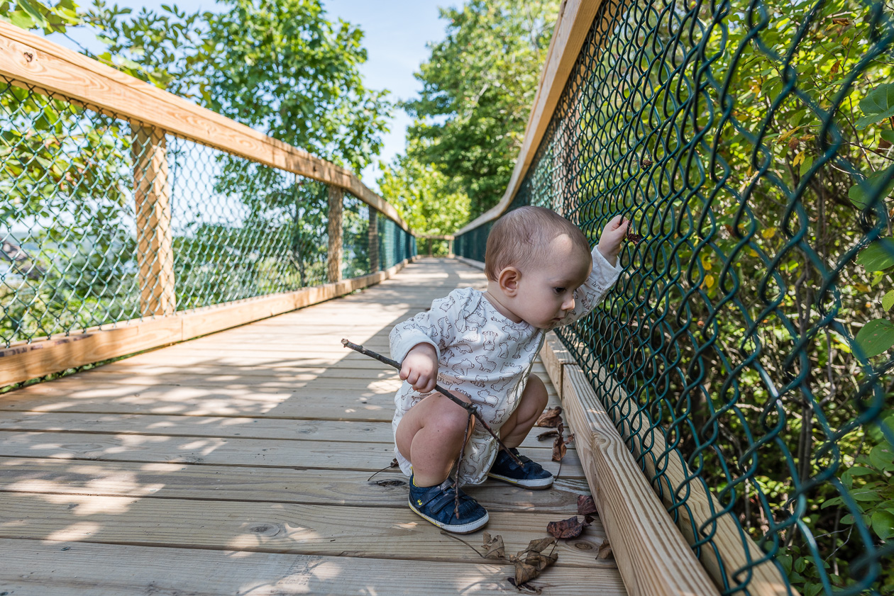 baby looking through fence on nature walk in northern virginia by nicole sanchez photography