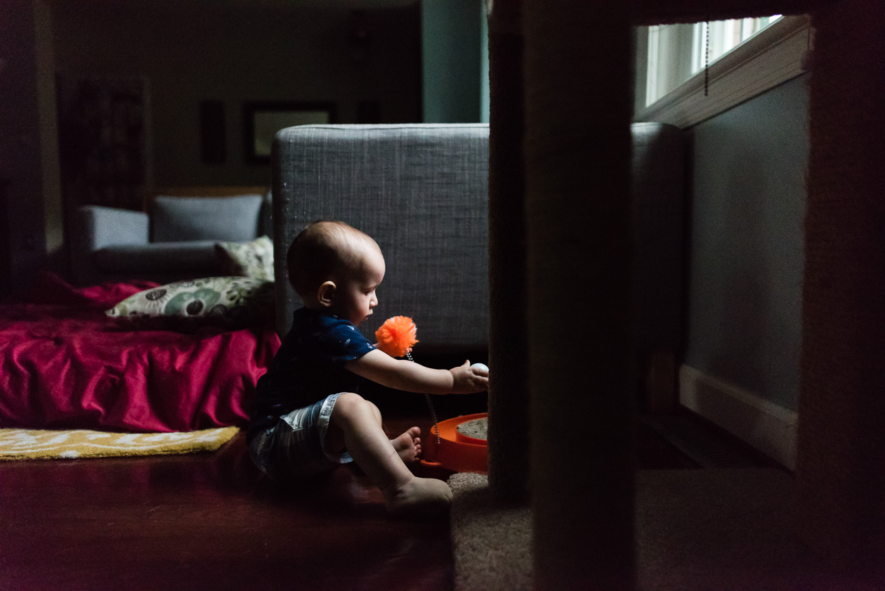 baby playing with cat toy by northern virginia family photographer nicole sanchez