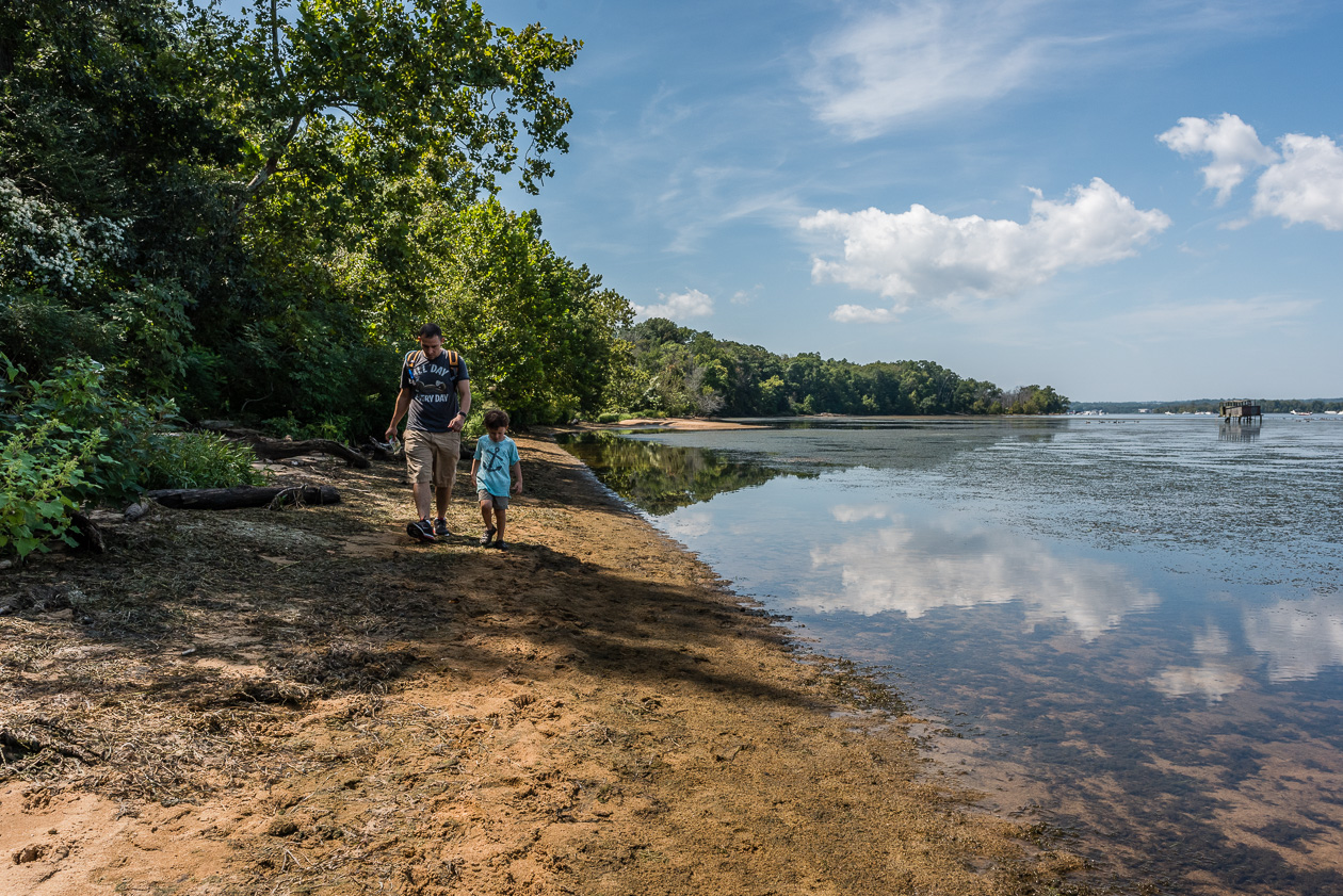 father and son walking on beach at potomac river in northern virginia by family photographer nicole sanchez