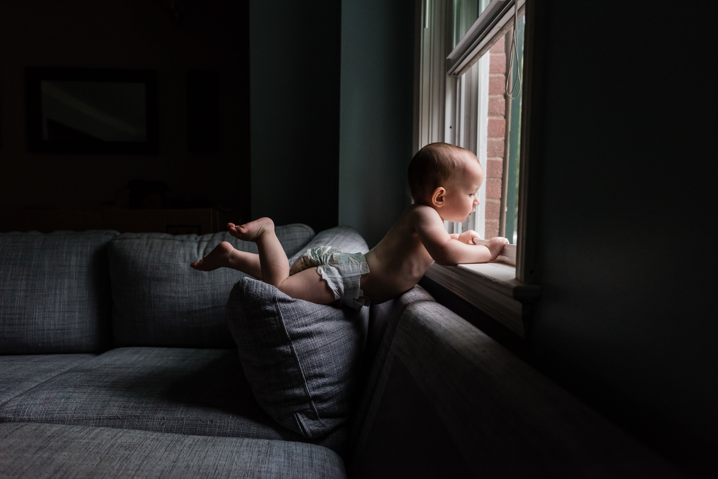 baby crawling on couch to look out window by northern virginia family photographer nicole sanchez