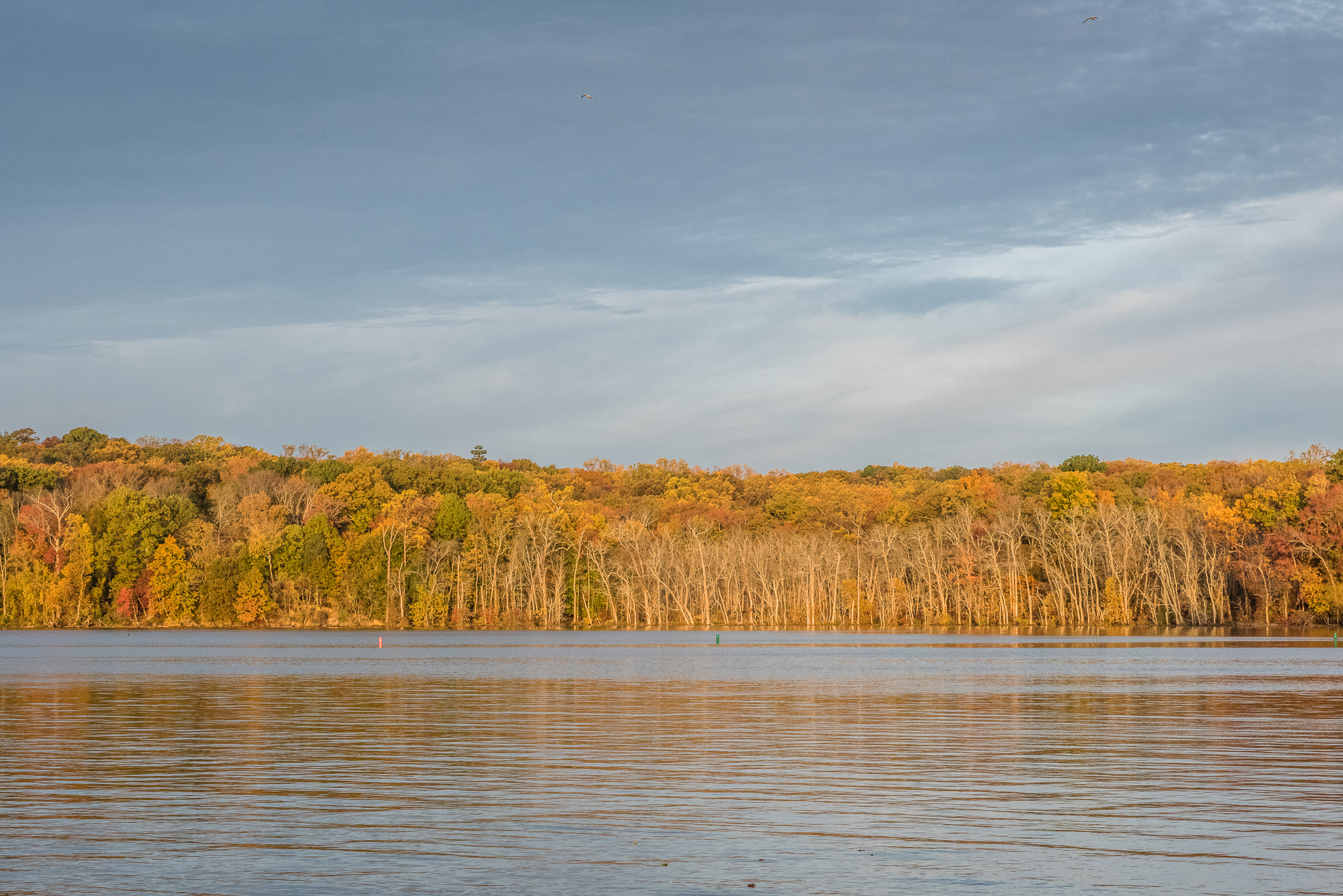Potomac River Landscape in the fall by Northern Virginia Family Photographer Nicole Sanchez