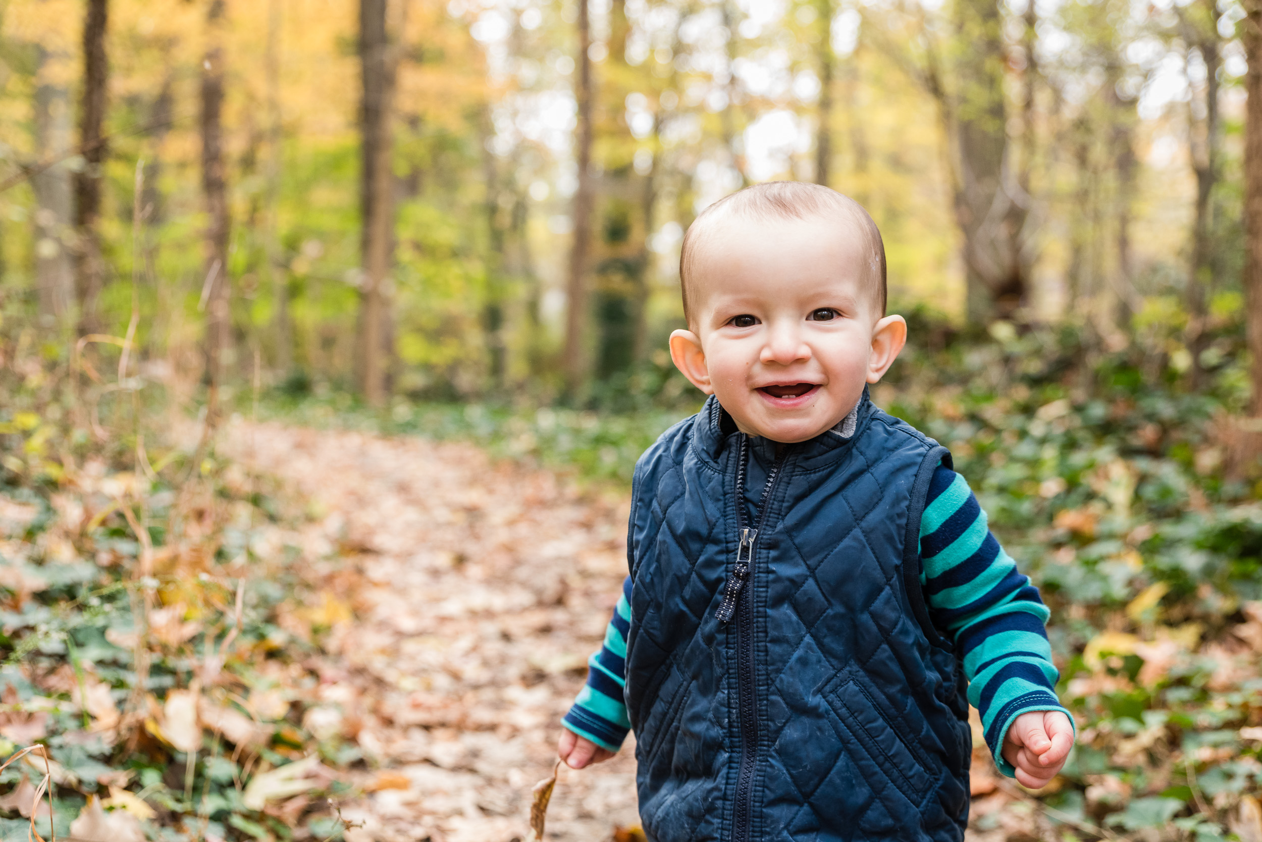 Toddler playing in fall leaves by Northern Virginia Family Photographer Nicole Sanchez