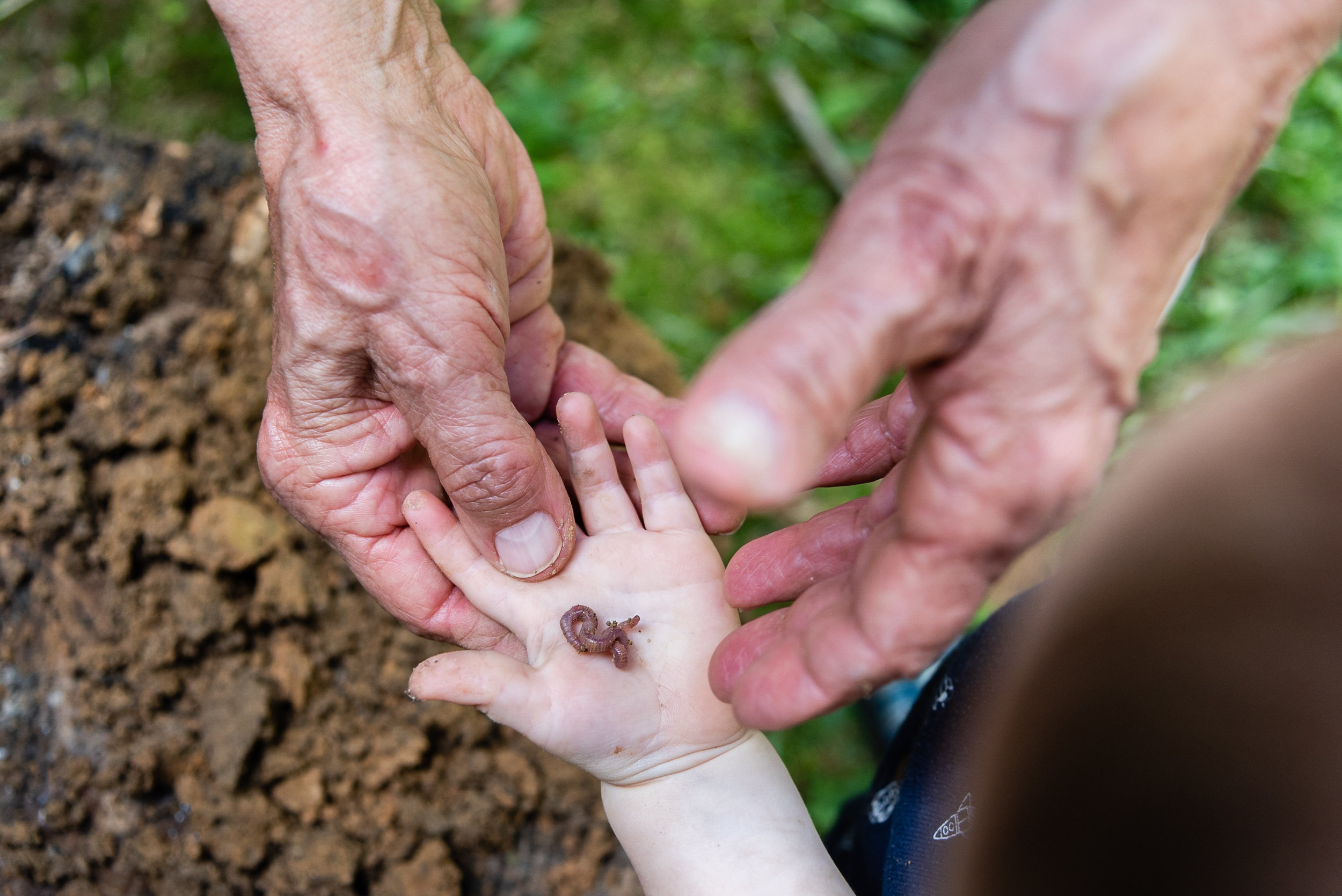 Grandfather and grandson holding worm by Northern Virginia Family Photographer Nicole Sanchez