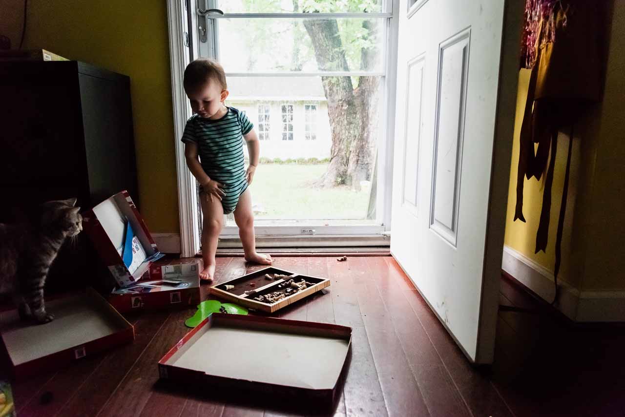 Toddler playing with games on floor by cat by Northern Virginia Family Photographer Nicole Sanchez