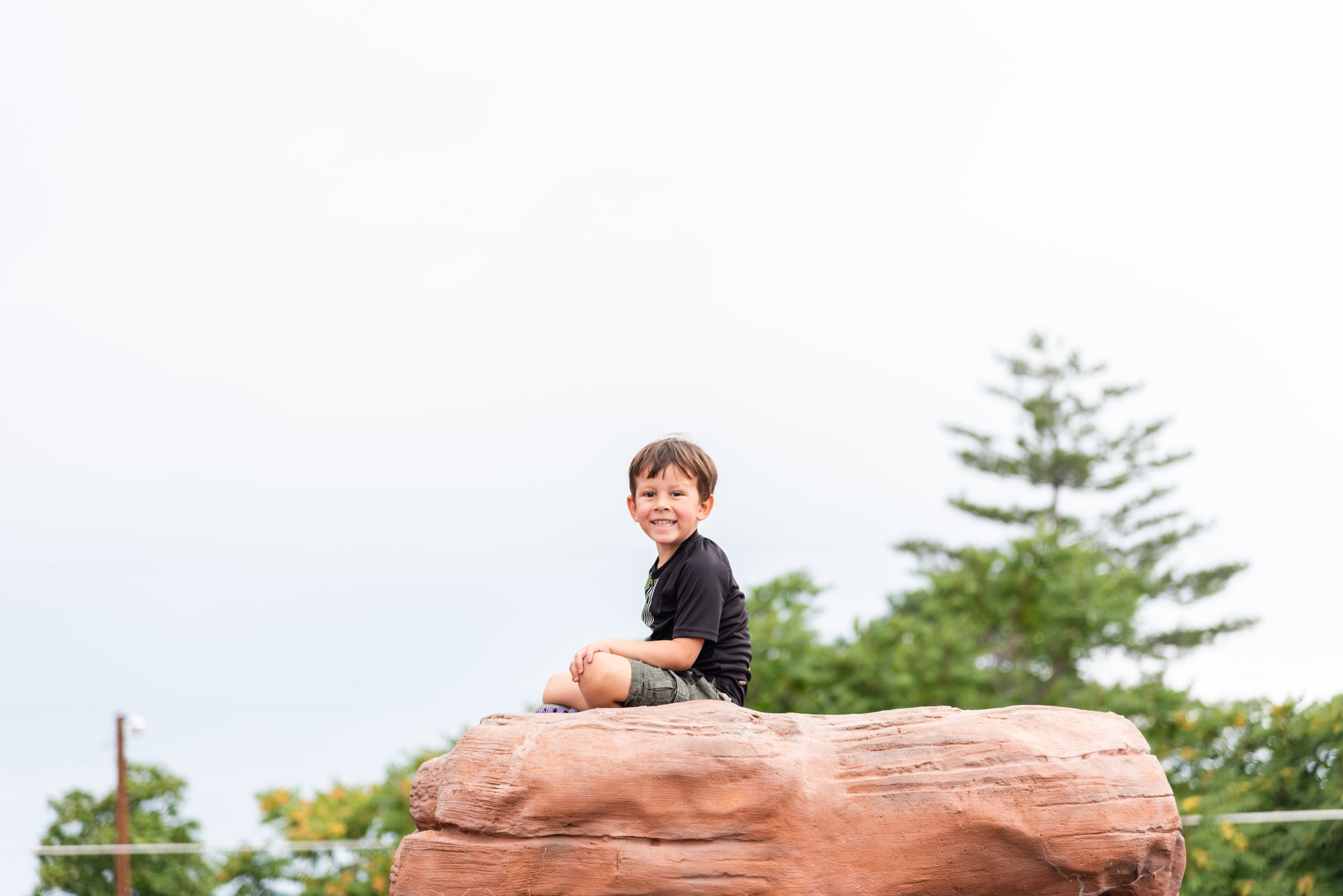 Boy at top of big rock August Favorites by Northern Virginia Family Photographer Nicole Sanchez
