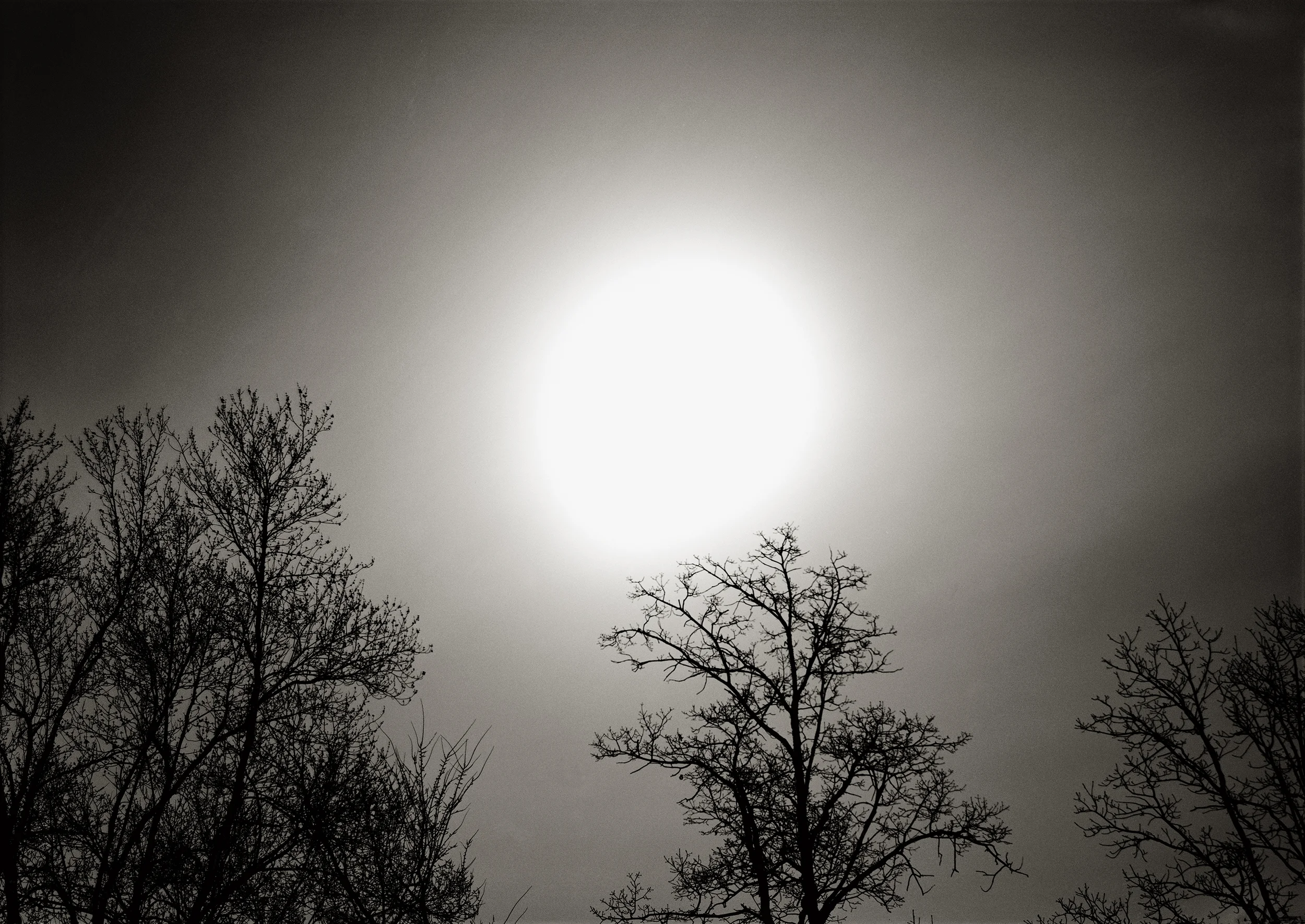 MOONLIGHT