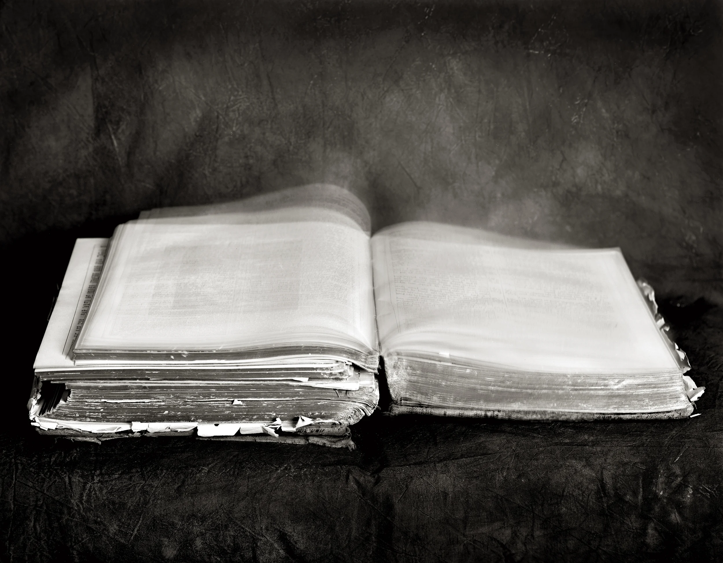 WORDS IN FLIGHT