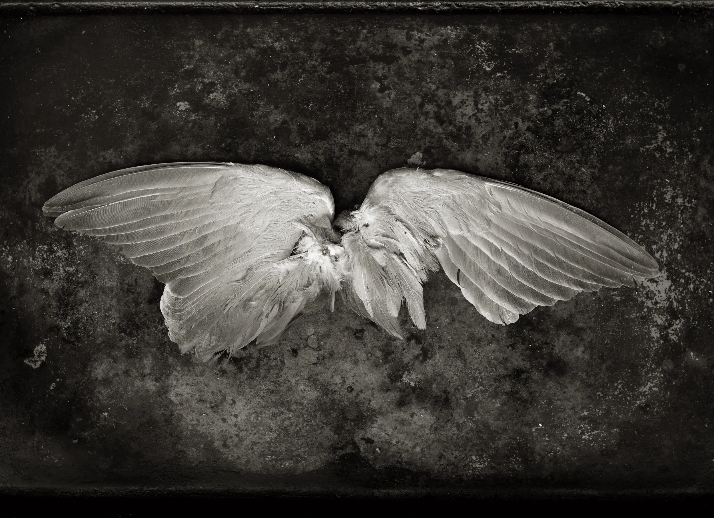 FLYING LESSONS