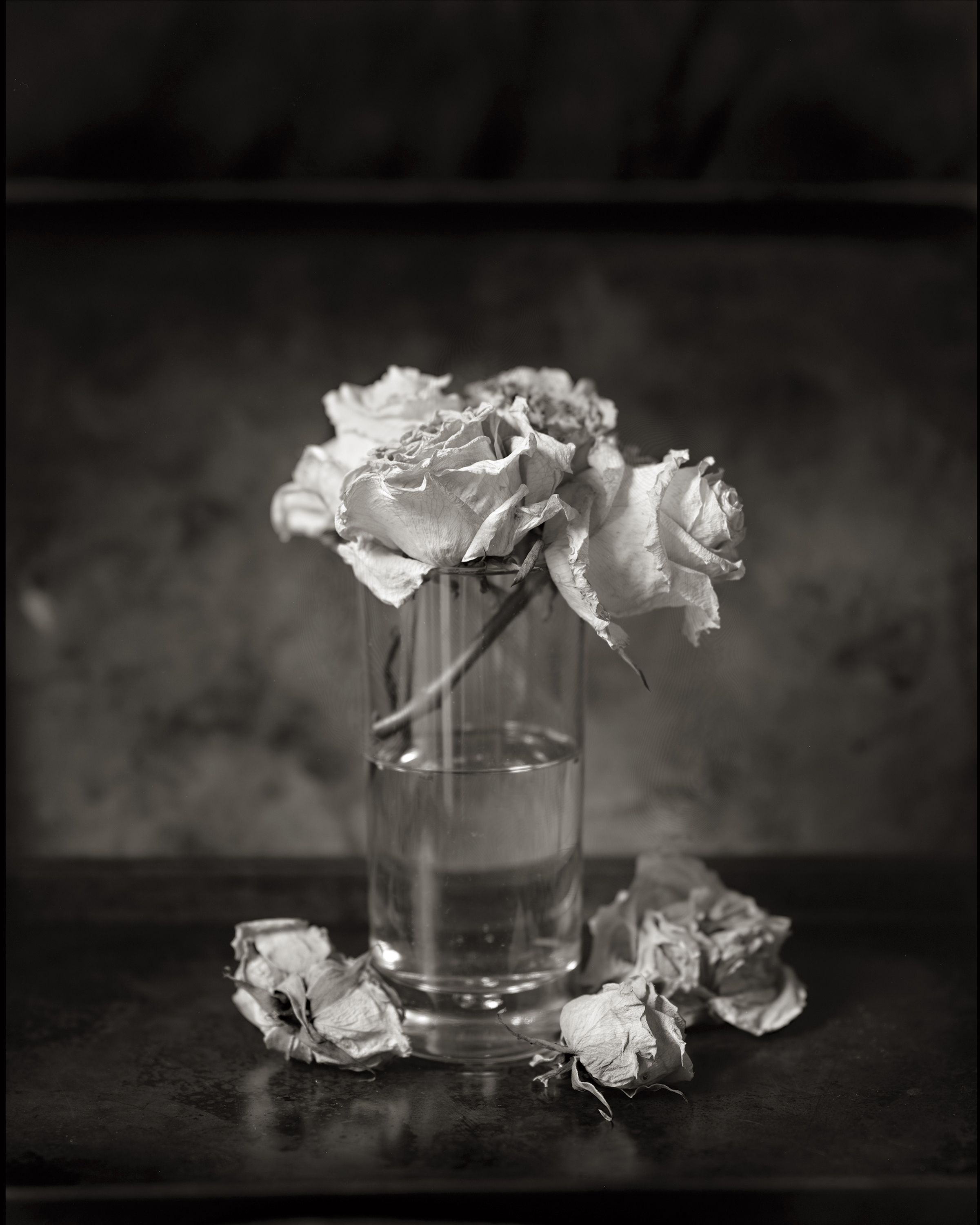  FLOWERS IN A GLASS HALF EMPTY, 2014 