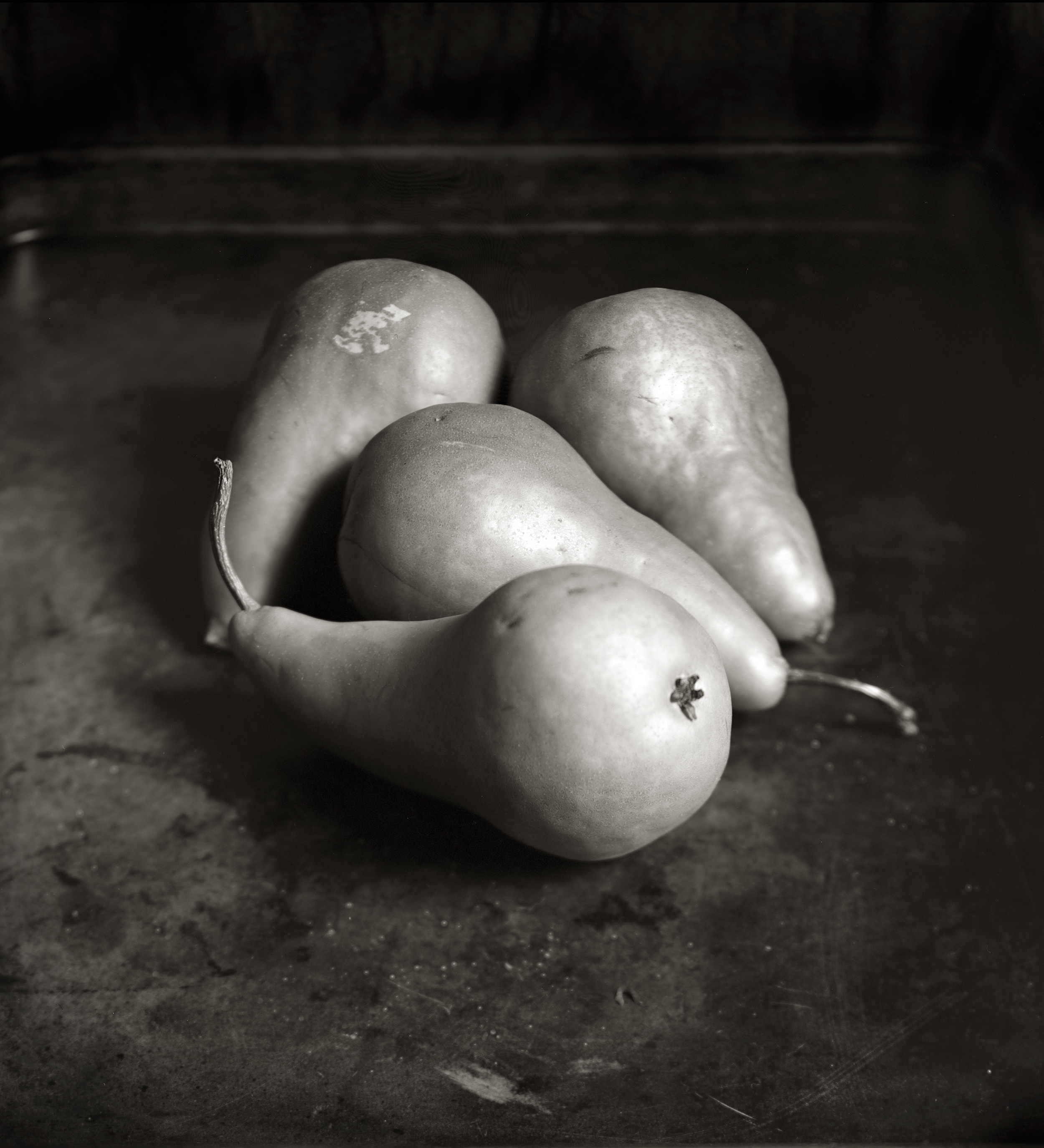  PEARS, SCAR FROM A LABEL, 2014 
