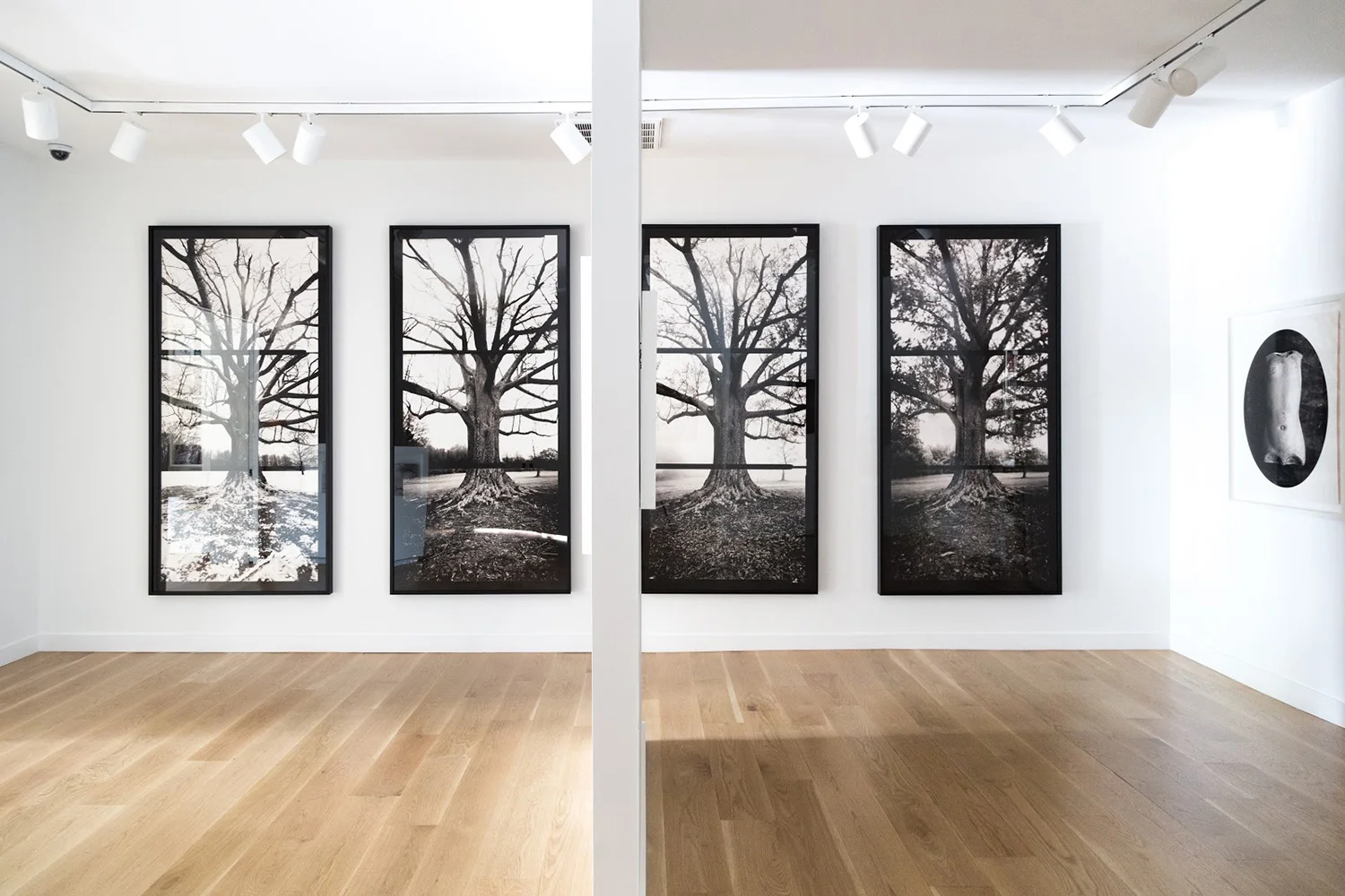 SOCO GALLERY PASSAGE EXHIBITION, 2017