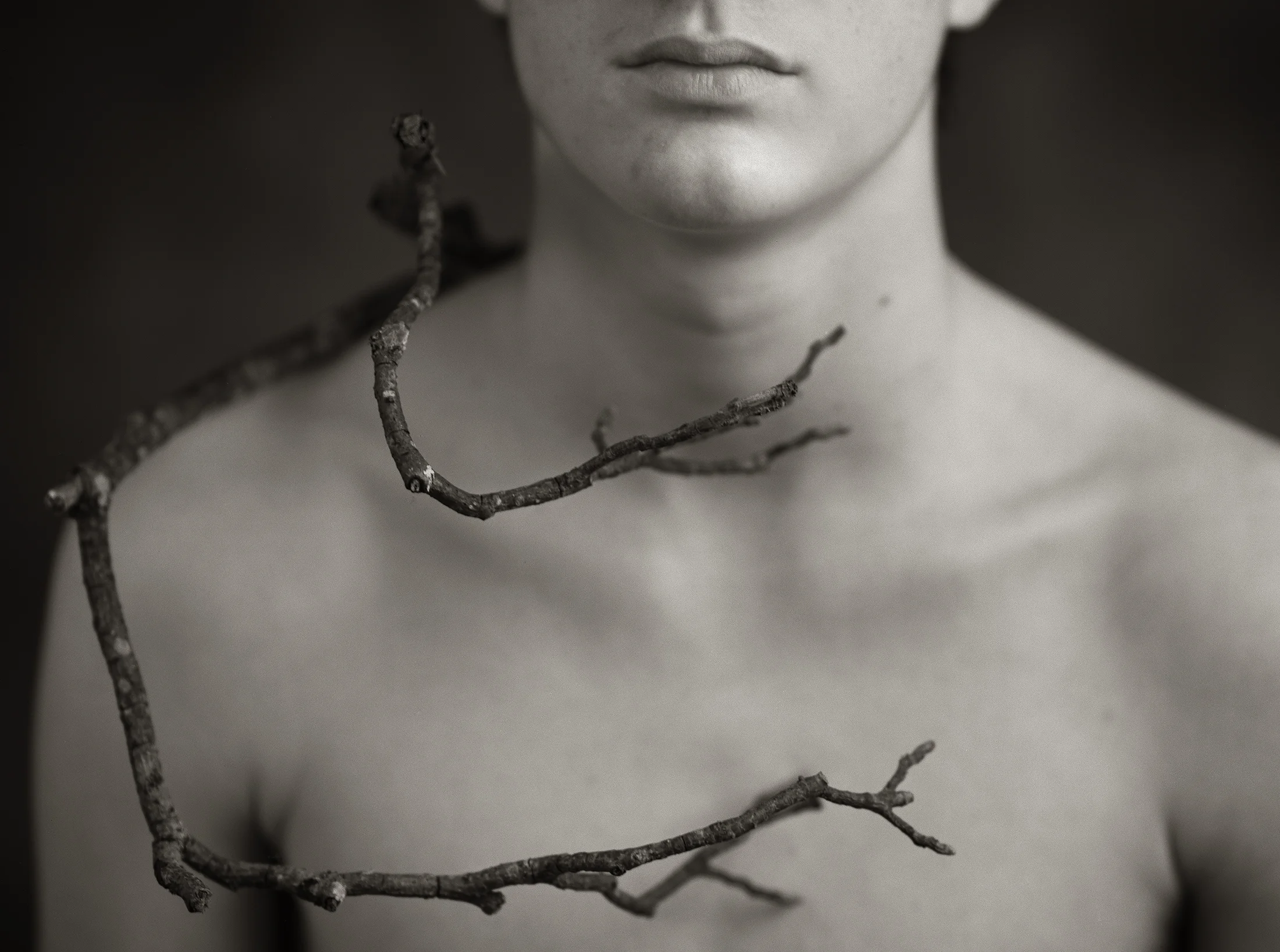NATURA