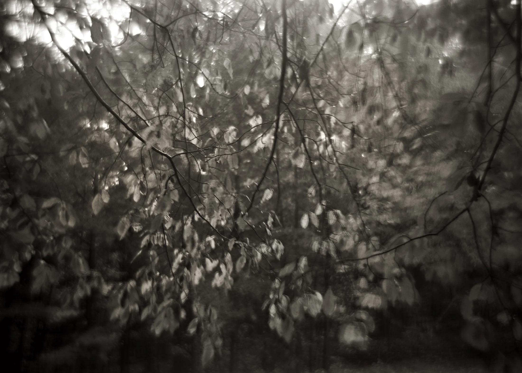 WEIGHT OF FALL