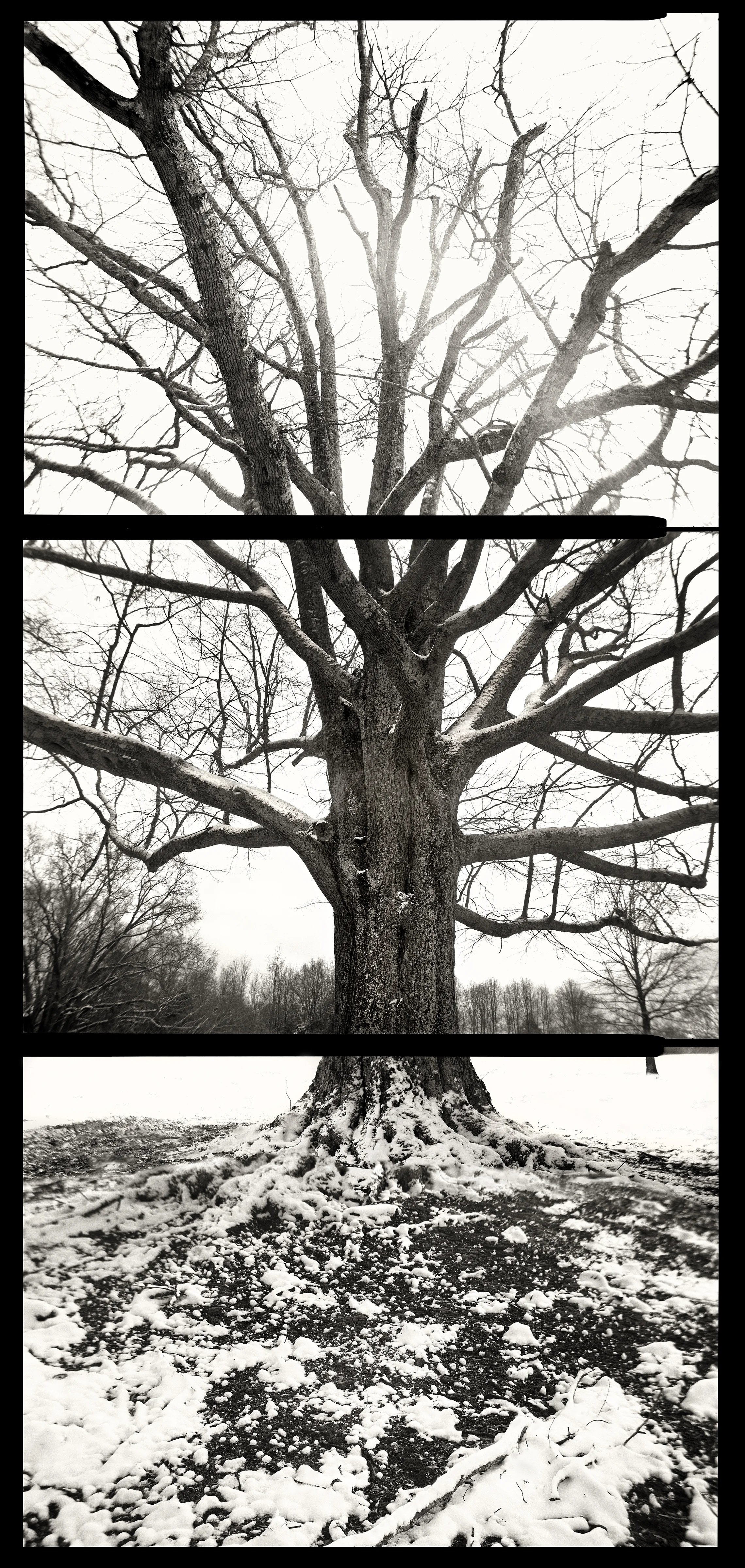 SNOW