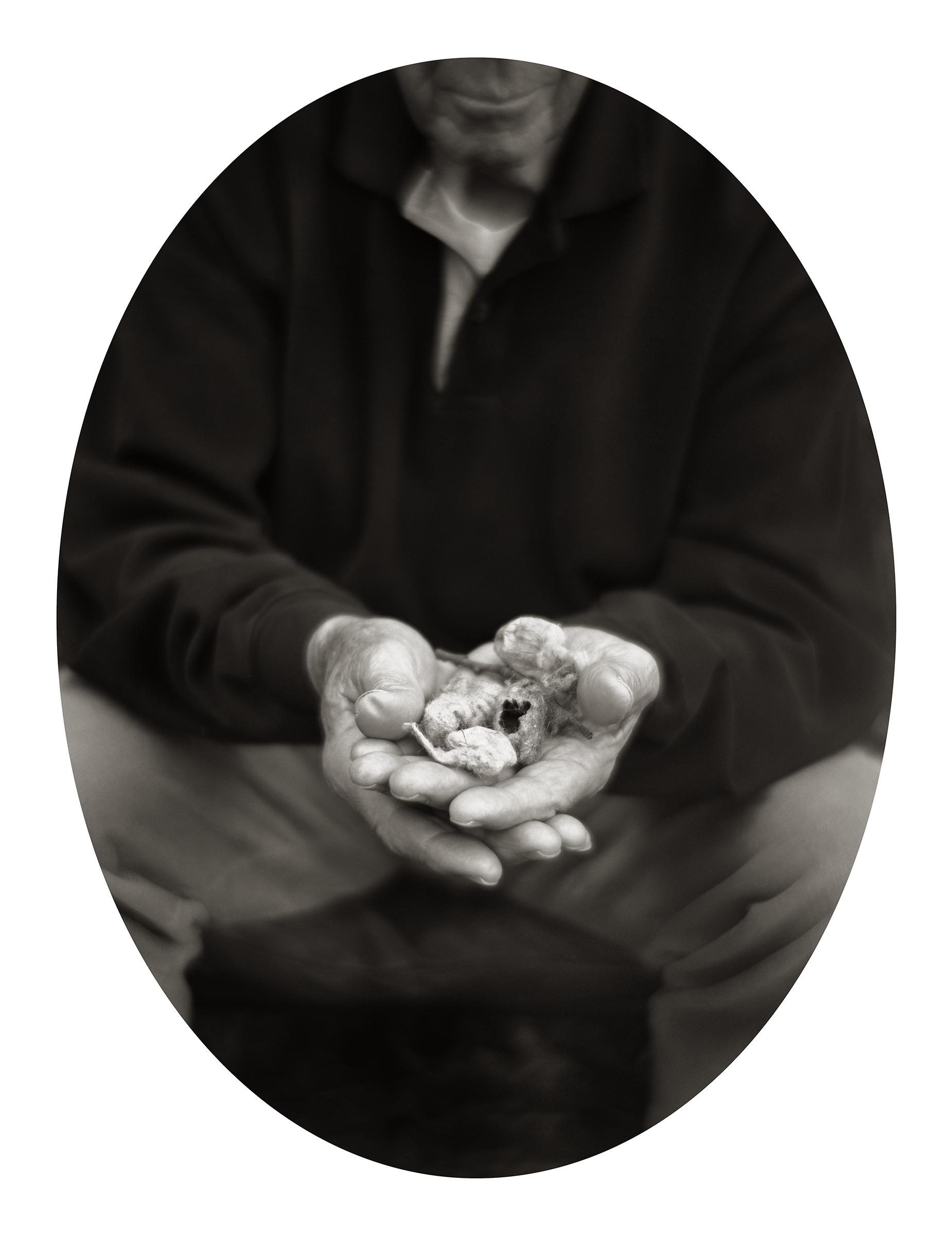  MY FATHER WITH COCOONS, 2005 