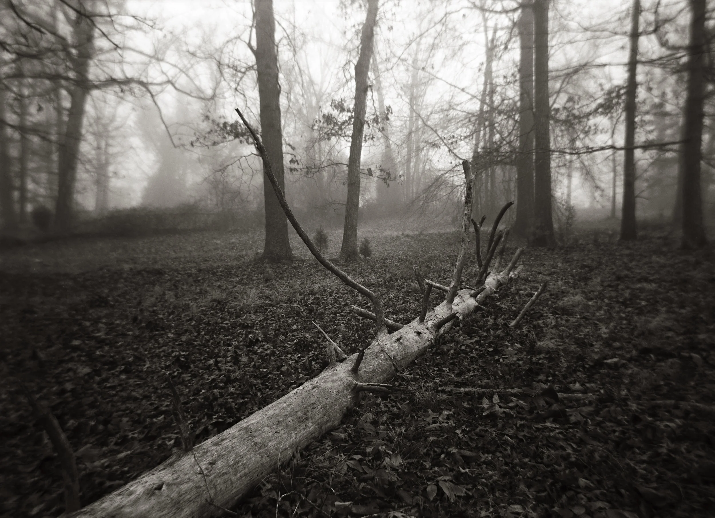 FALLEN