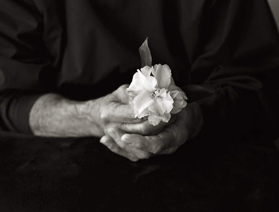  DAD HOLDING CAMELLIA FROM THE GARDEN, 2009 