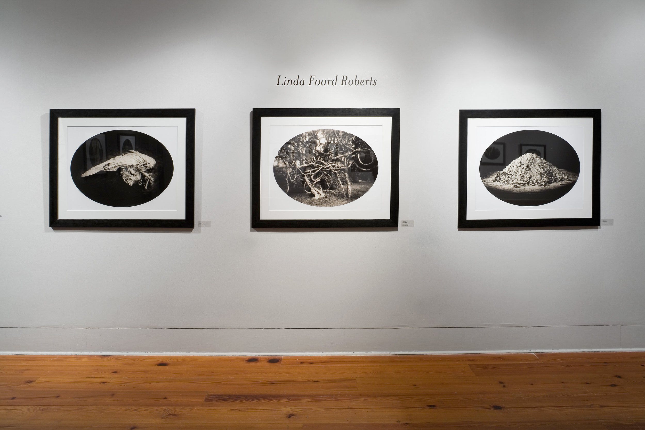  THE LIGHT FACTORY PHOTOGRAPHIC ARTS CENTER  ESTEEMING THE PEARLS EXHIBITION WITH LUIS GONZALEZ PALMA 