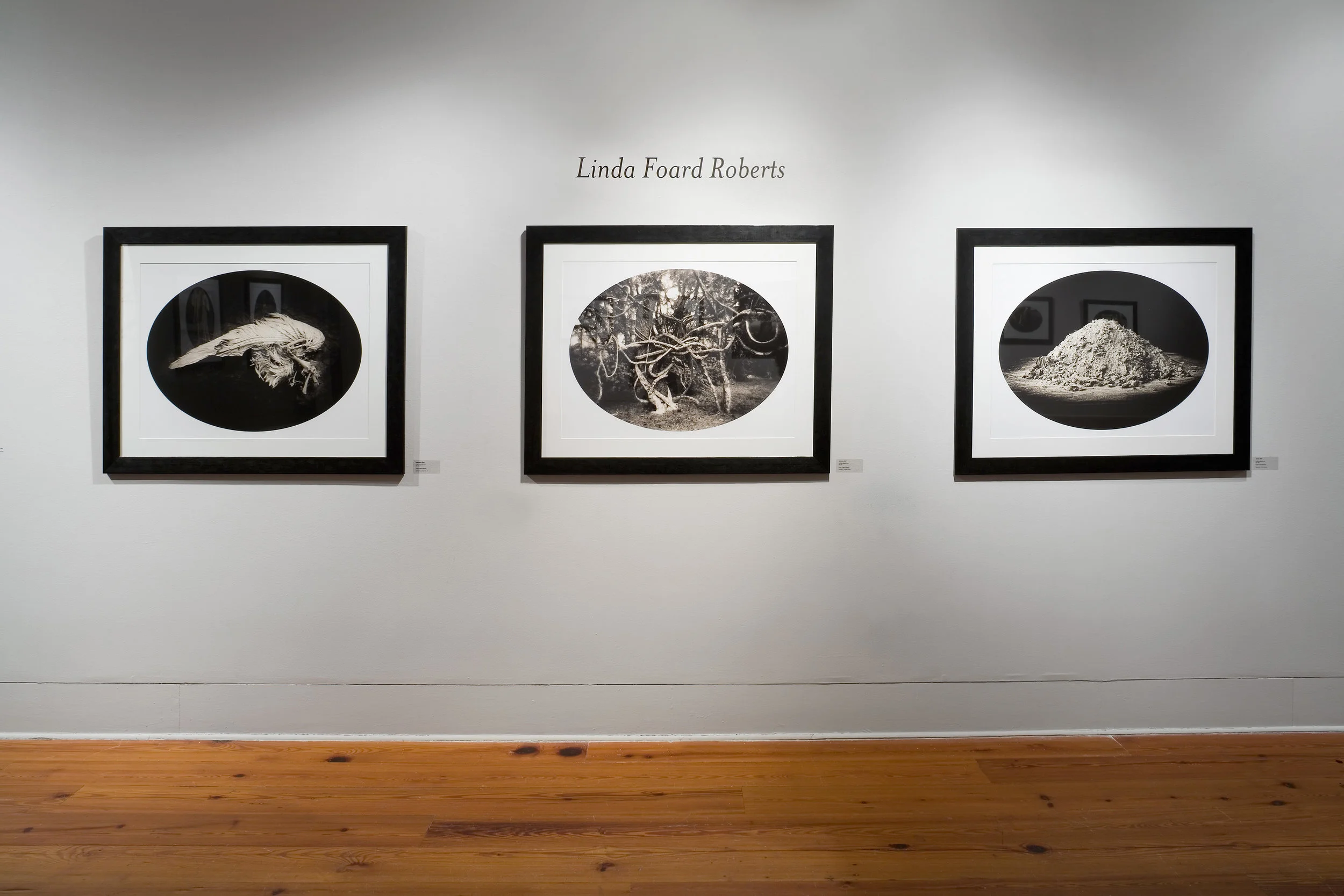 THE LIGHT FACTORY PHOTOGRAPHIC ARTS CENTER ESTEEMING THE PEARLS EXHIBITION WITH LUIS GONZALEZ PALMA