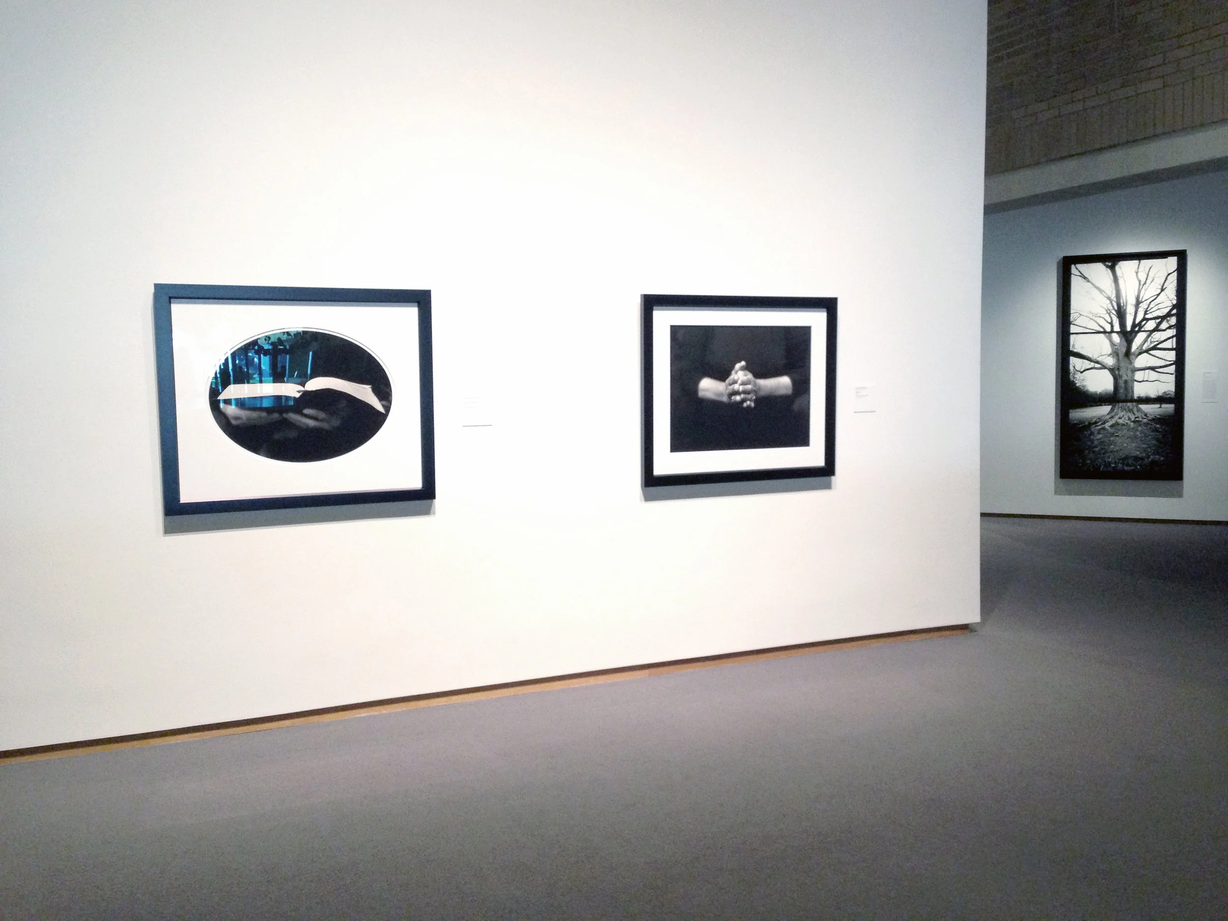 THE NORTH CAROLINA MUSEUM OF ART PERMANENT COLLECTION EXHIBITION