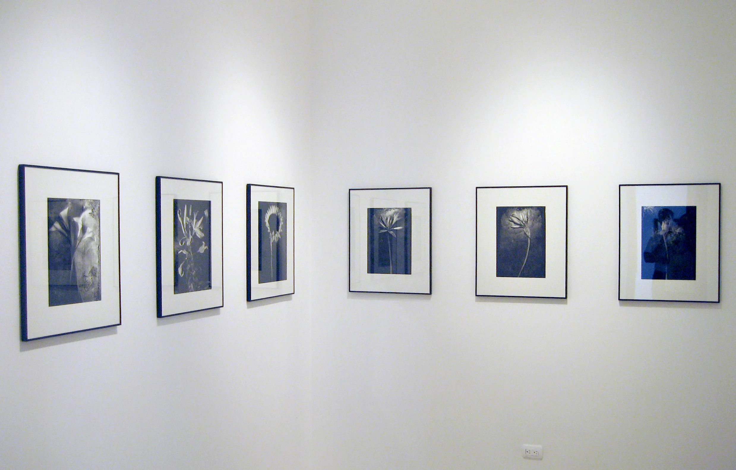 SOL DEL RIO, GUATEMALA CITY, GUATEMALA BOUNDARIES EXHIBITION