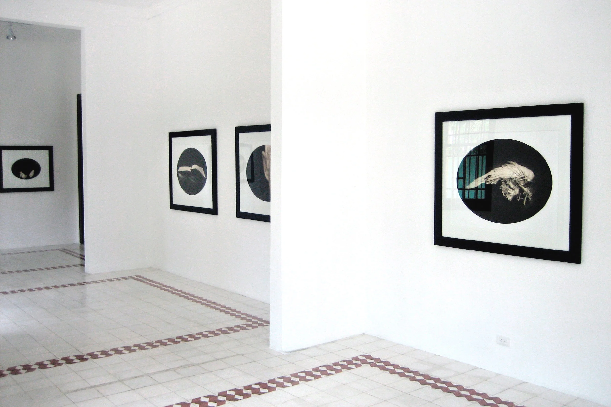 SOL DEL RIO, GUATEMALA CITY, GUATEMALA PASSAGE EXHIBITION