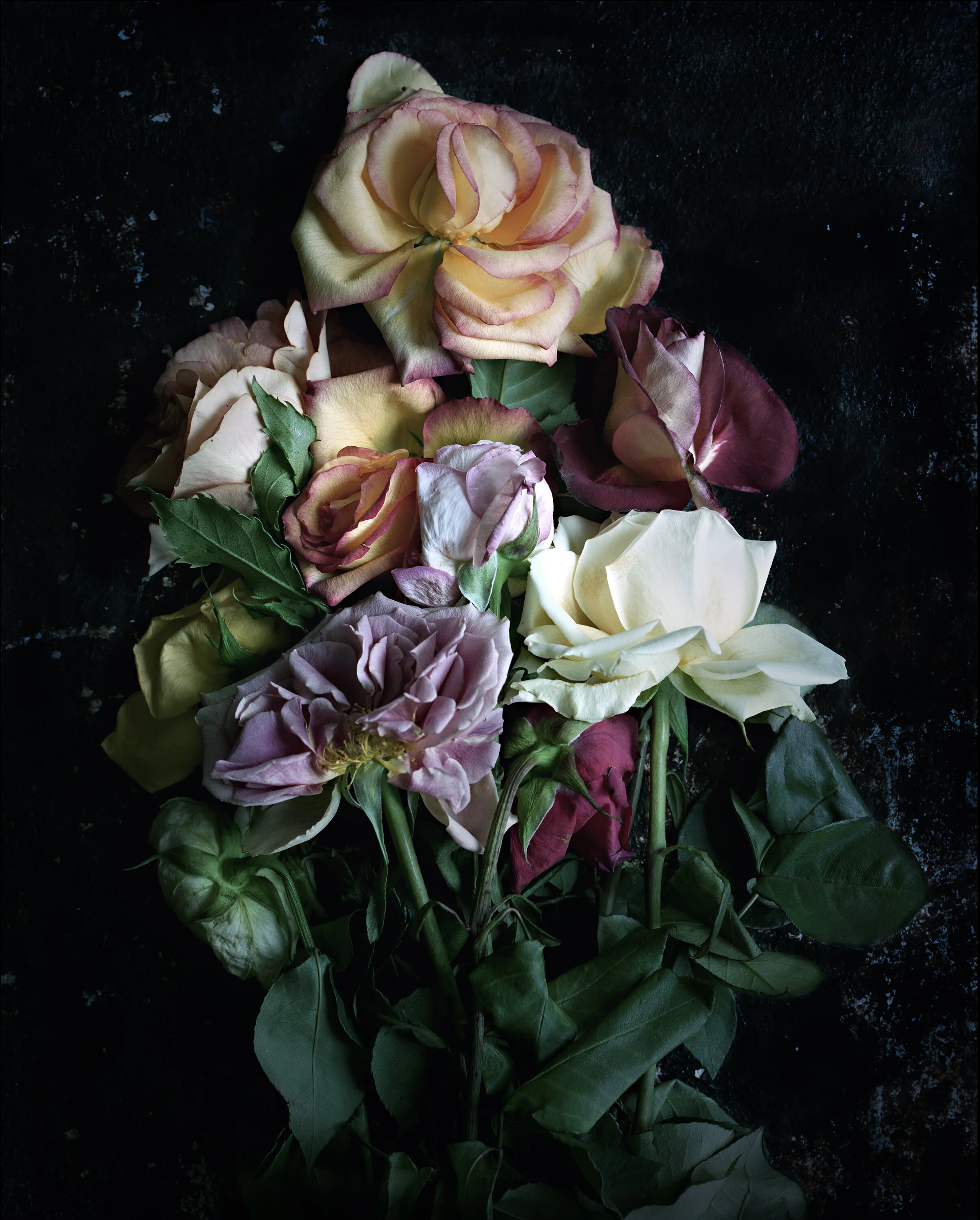 FALL FLOWERS