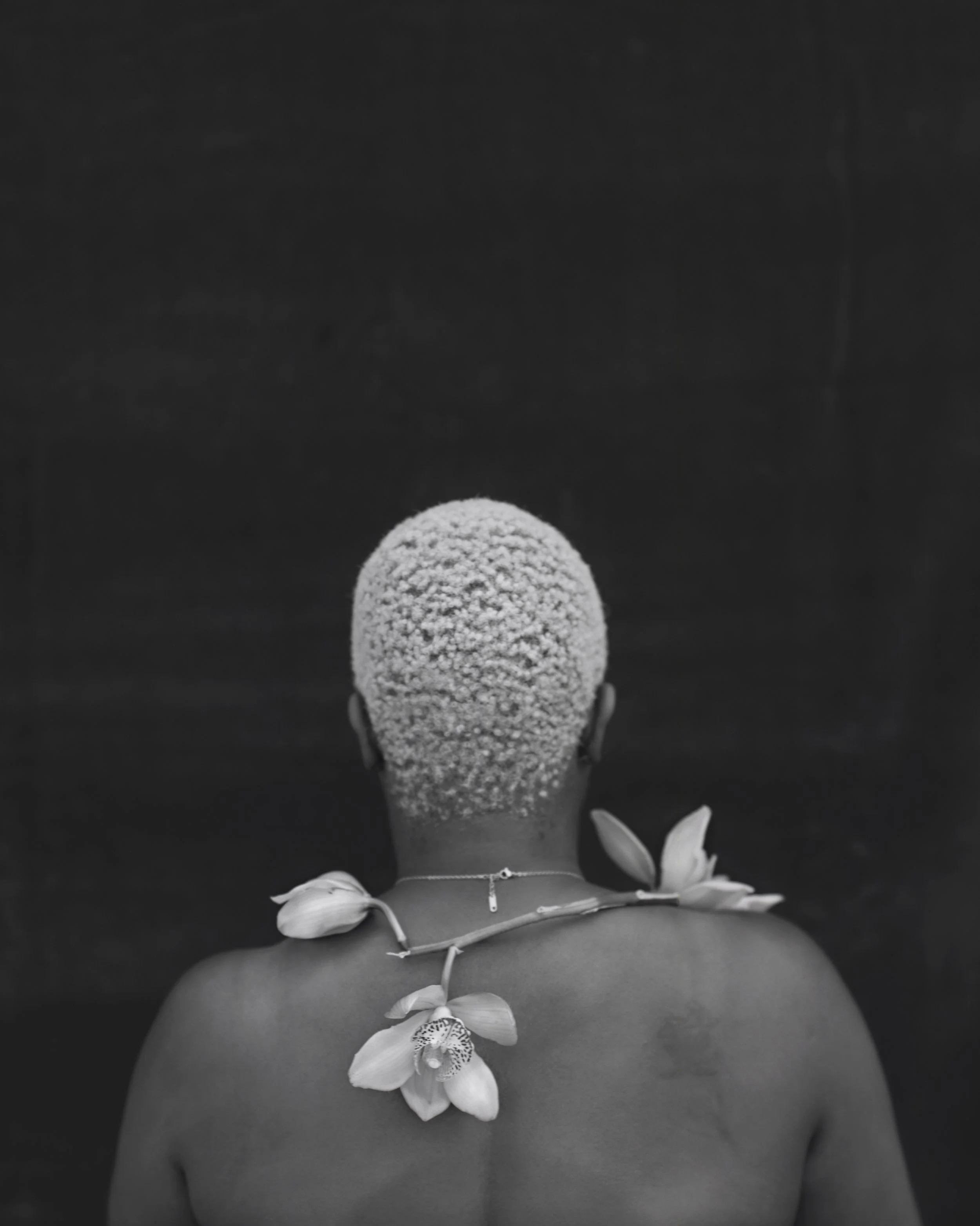  TASHA WITH ORCHID  Gelatin Silver Photograph 