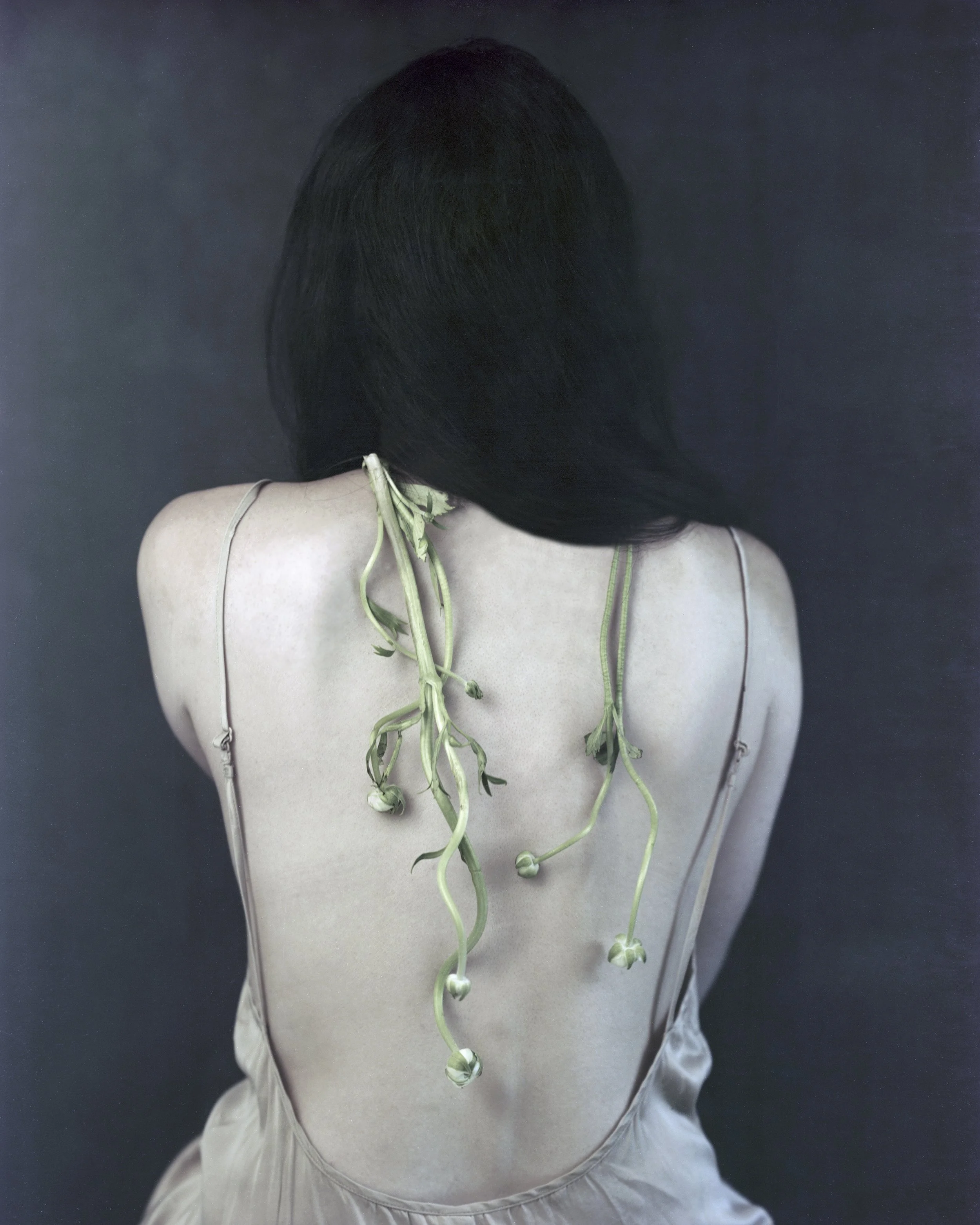  SMALL FLOWERS  Archival Pigment Print 
